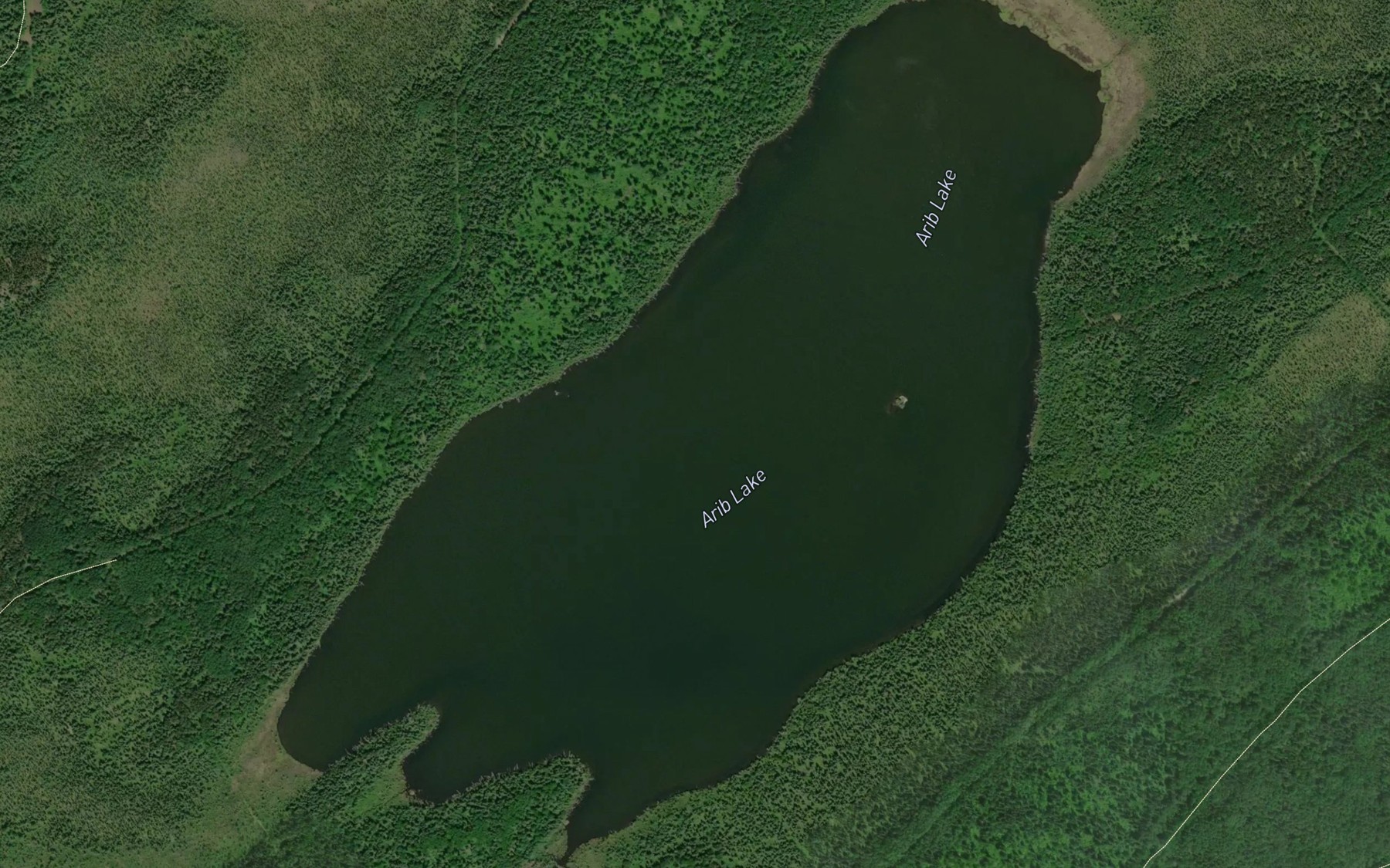 Satellite map of the Arib Lake