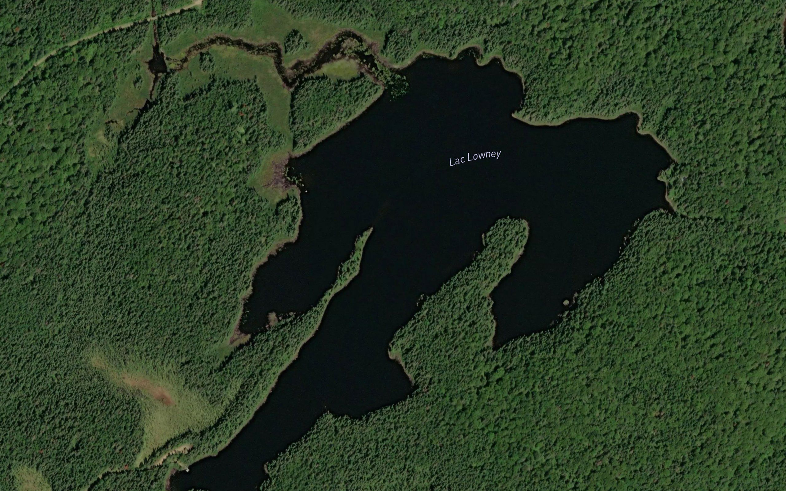 Lac Lowney