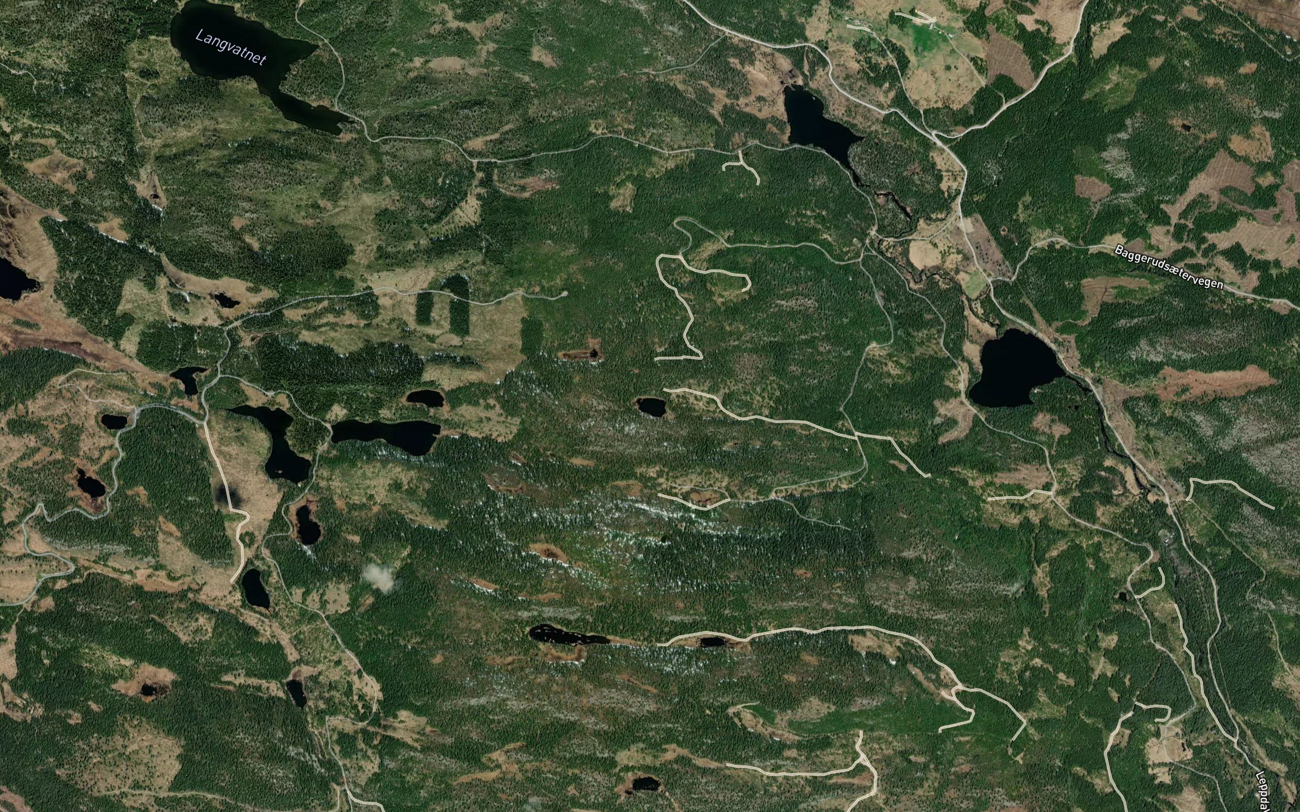 Snorobakktjednet