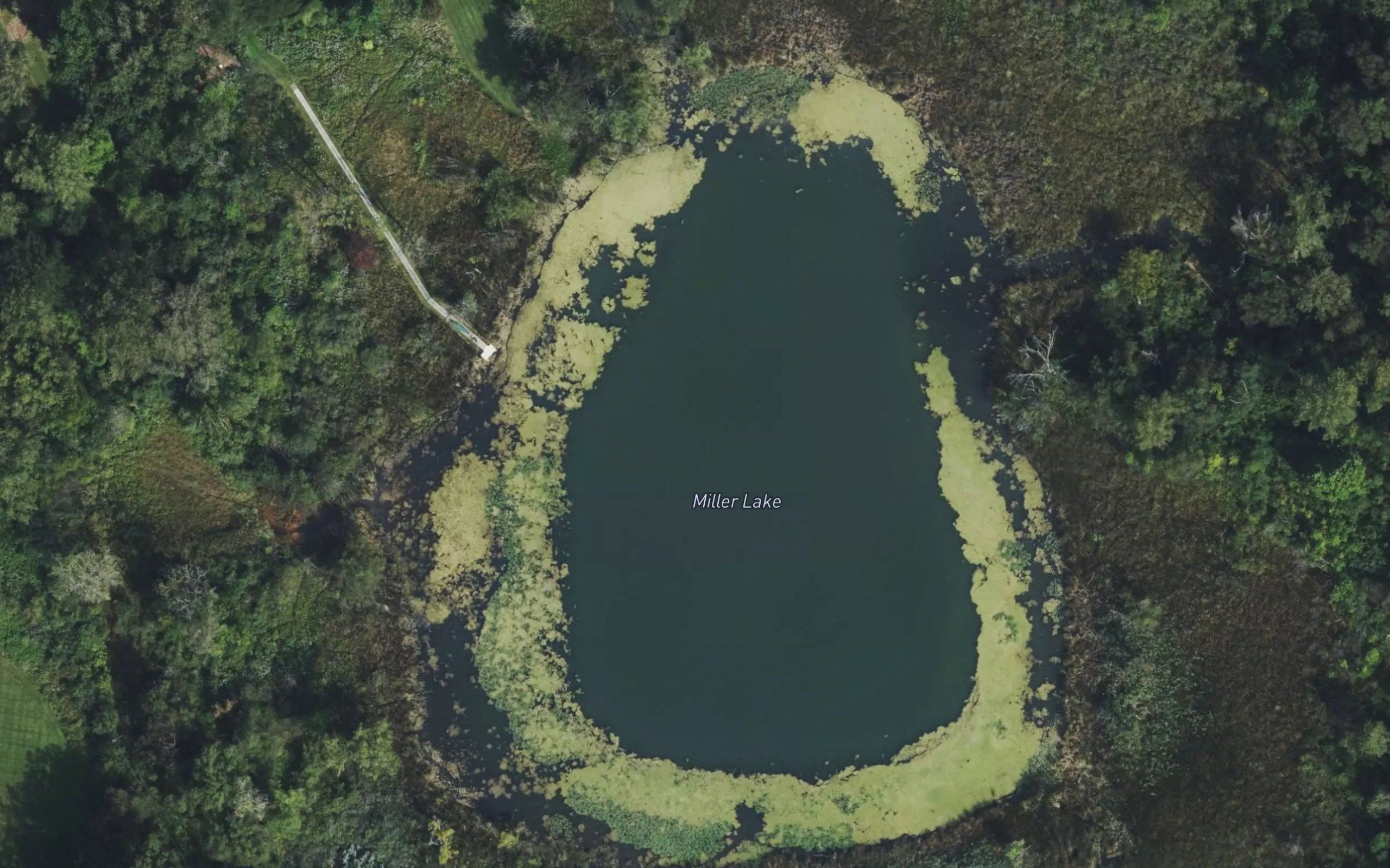 Miller Lake