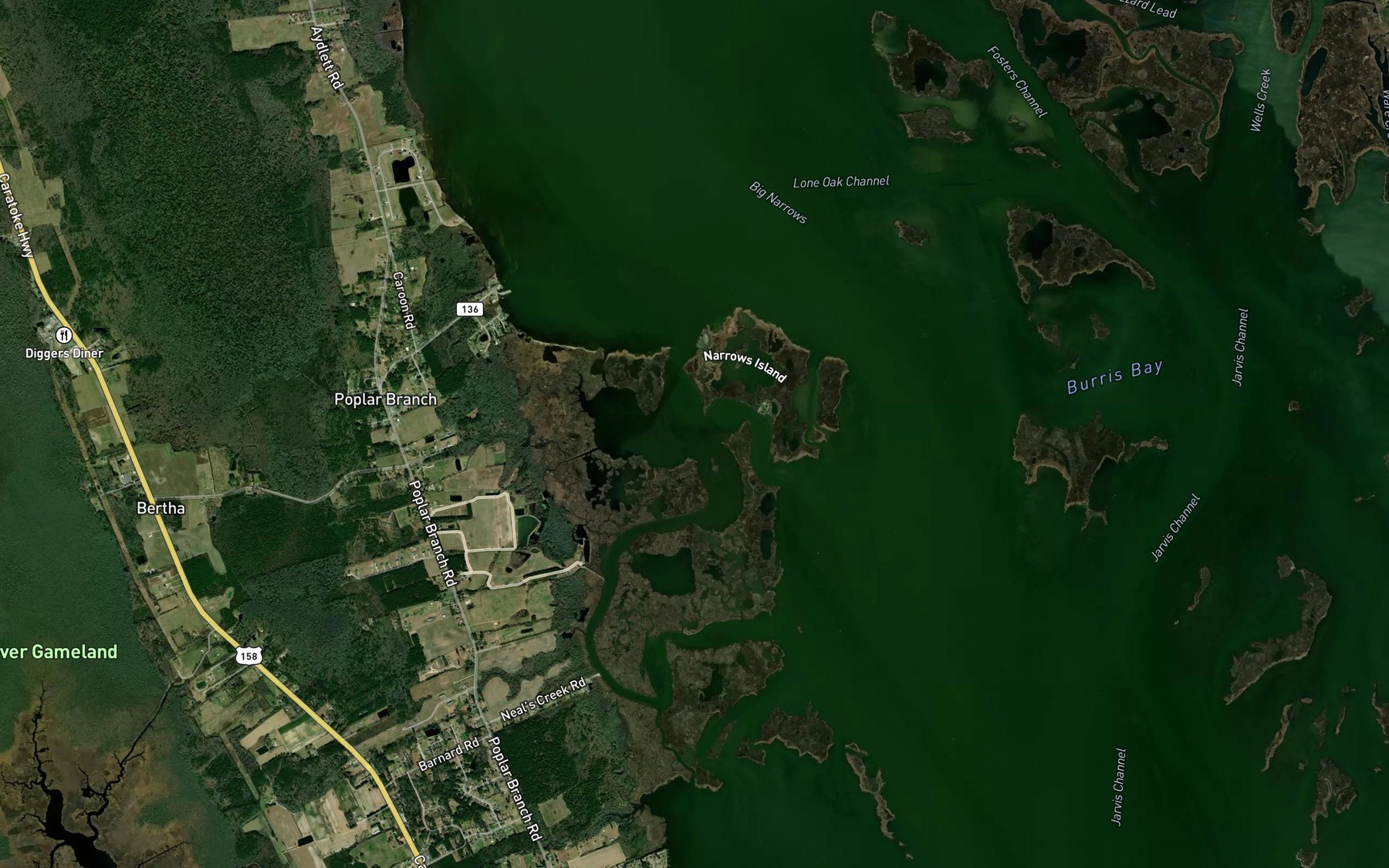 Satellite map of the The Hammock