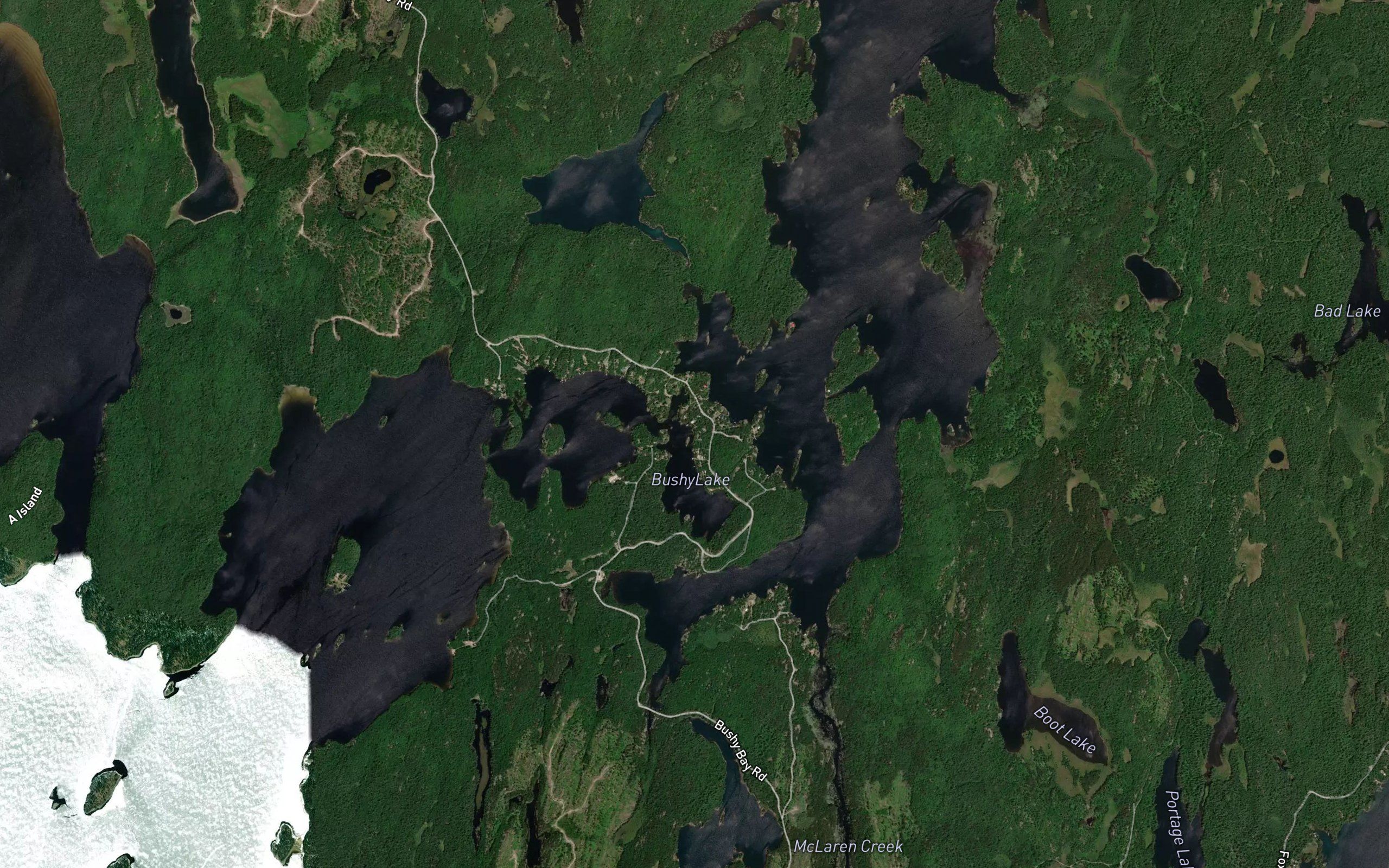 Bushy Lake
