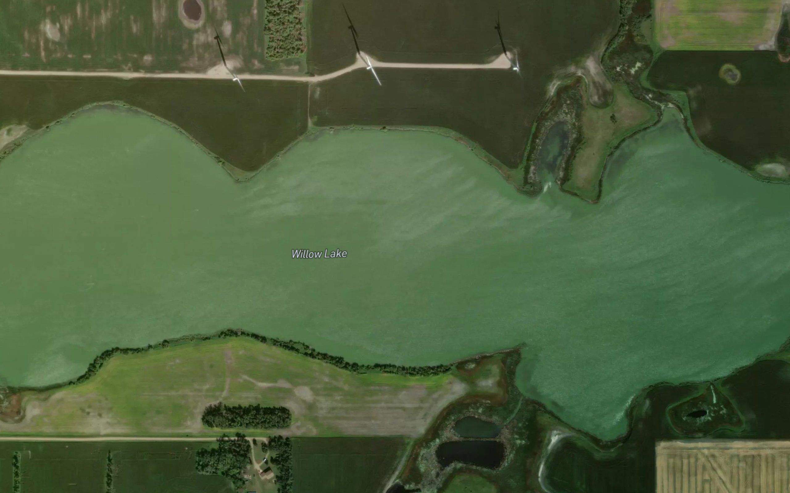 Willow Lake