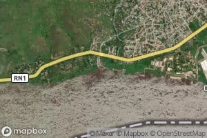 Yolombi