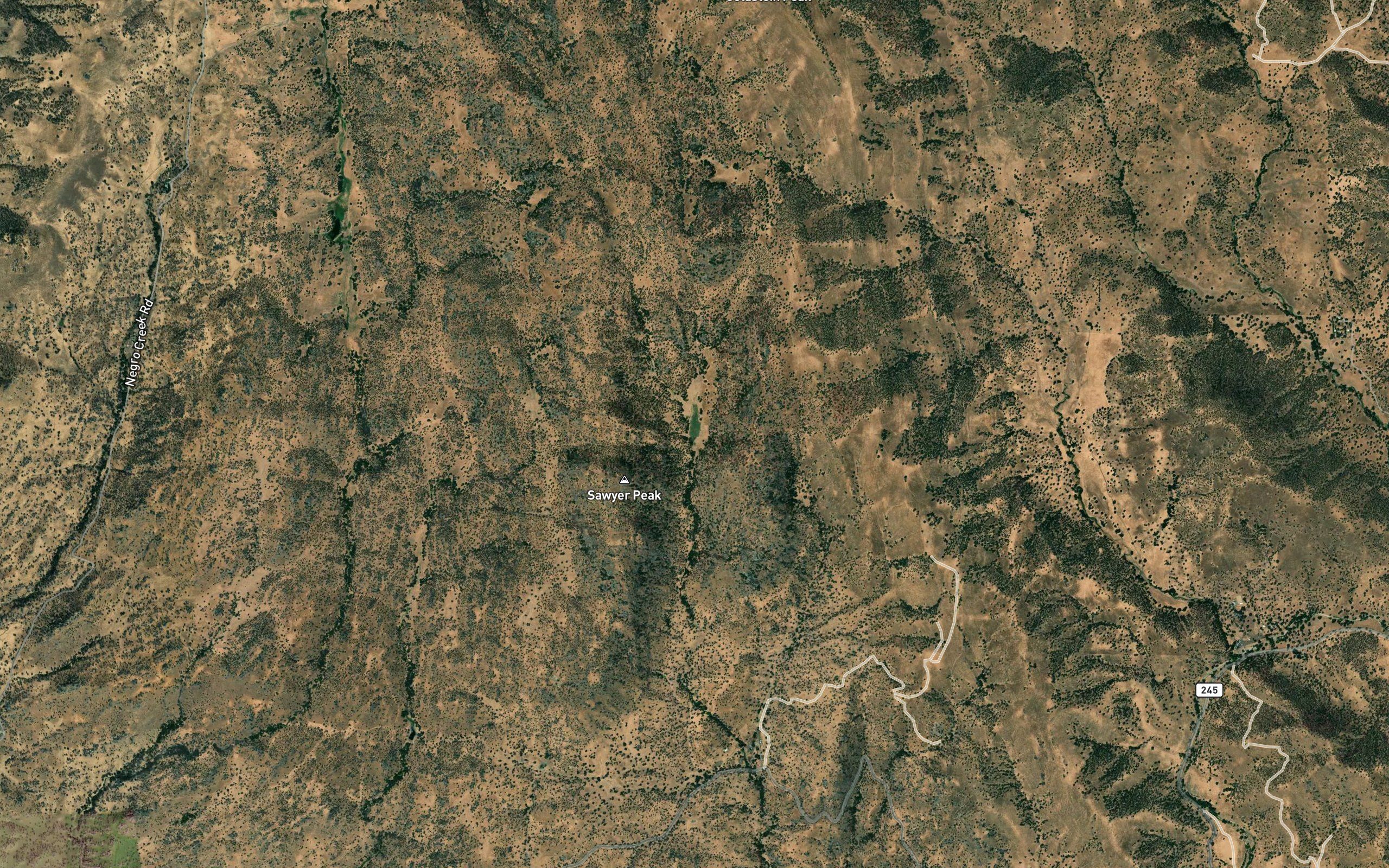 Mankins Spring