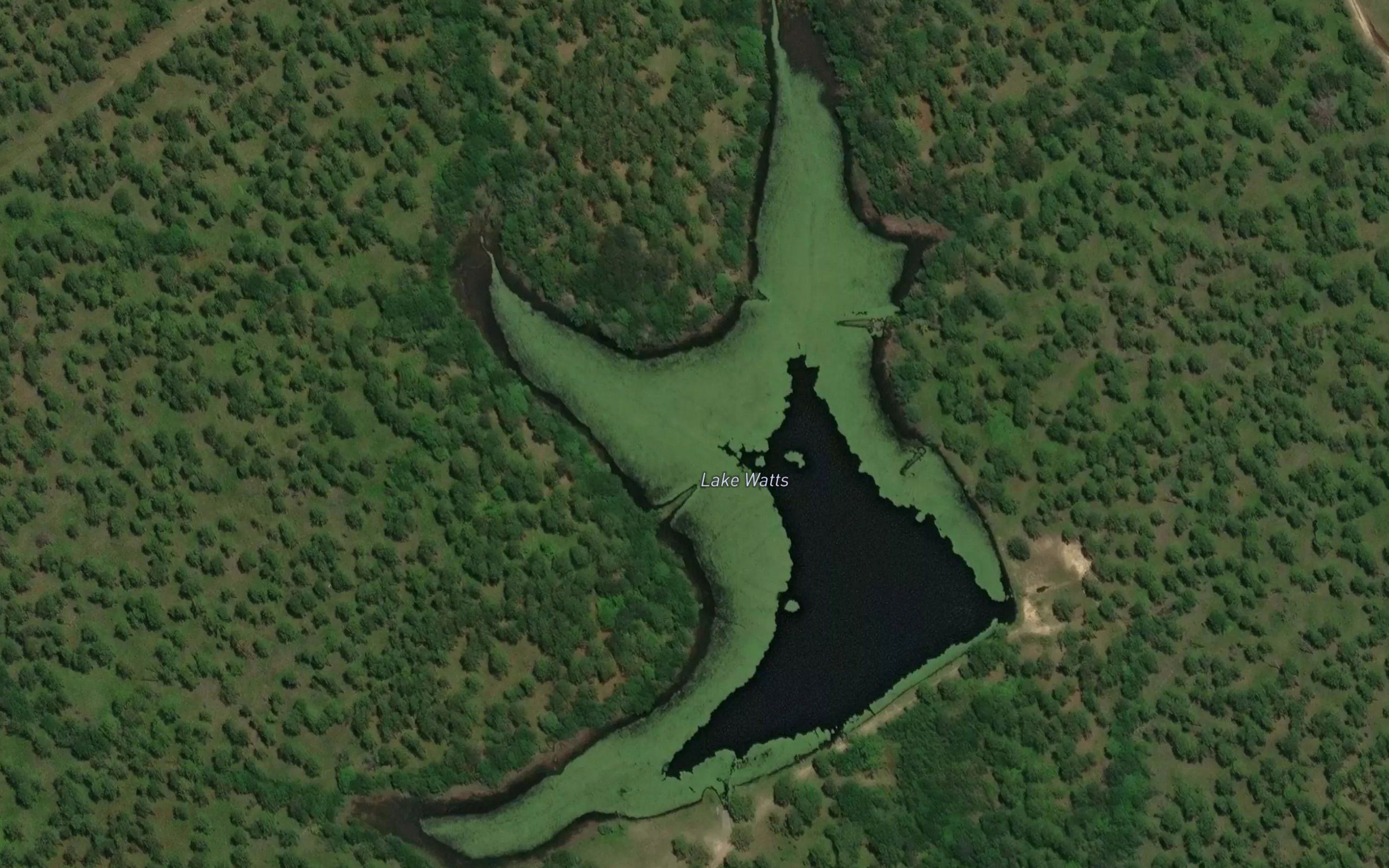 Lake Watts