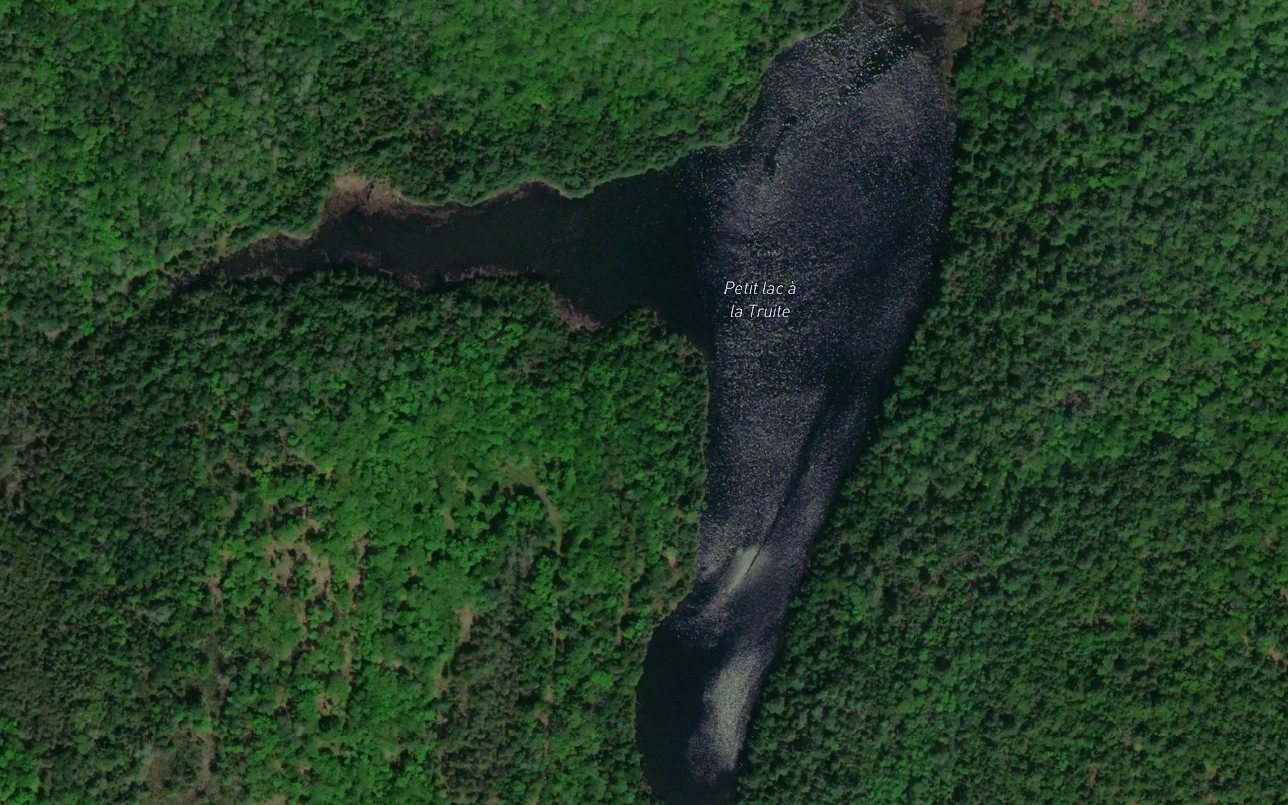 Petit lac a la Truite