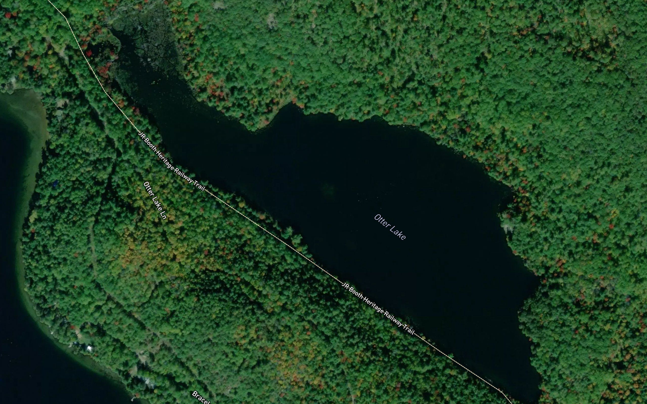 Otter Lake