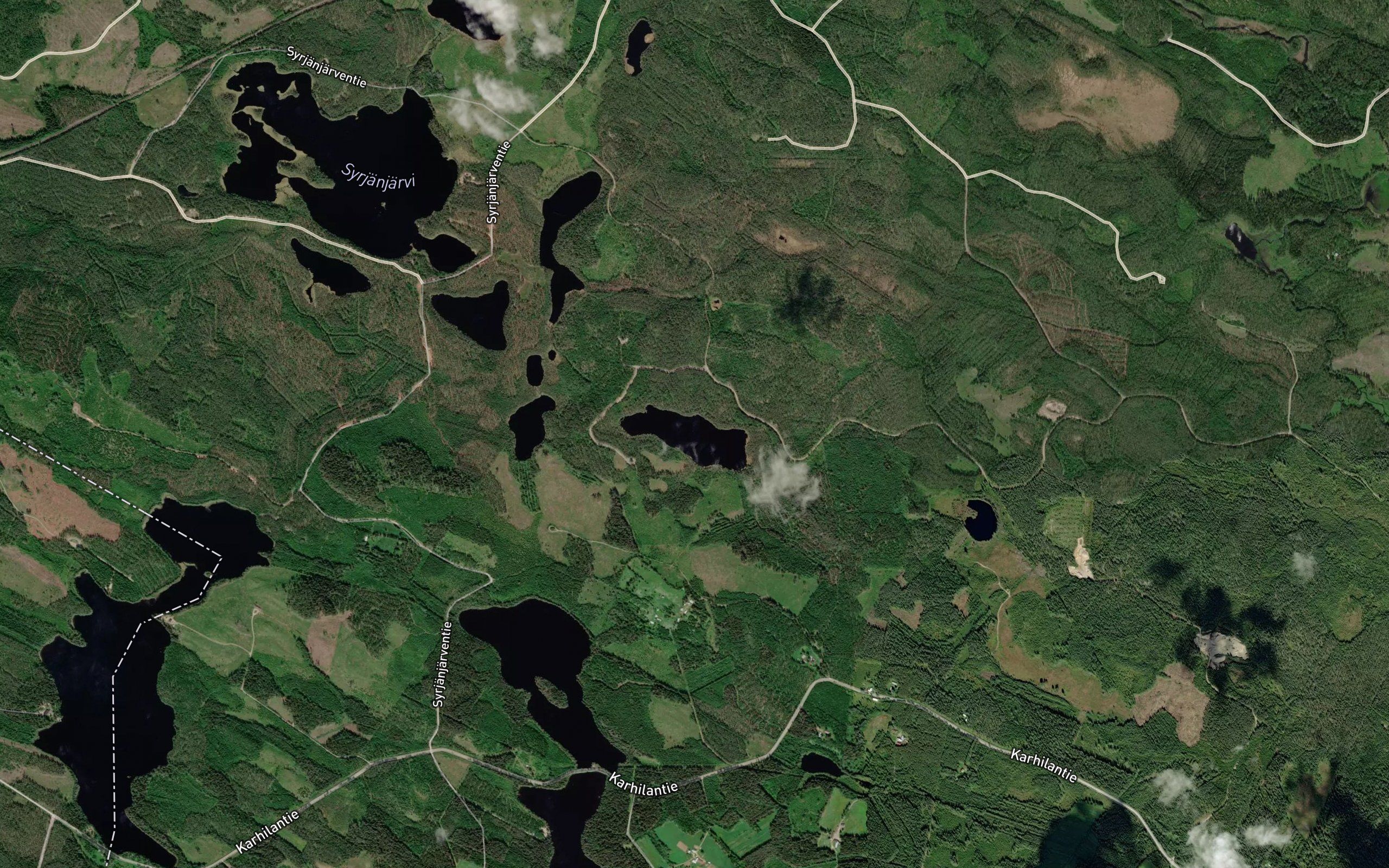 Harvalaineinen