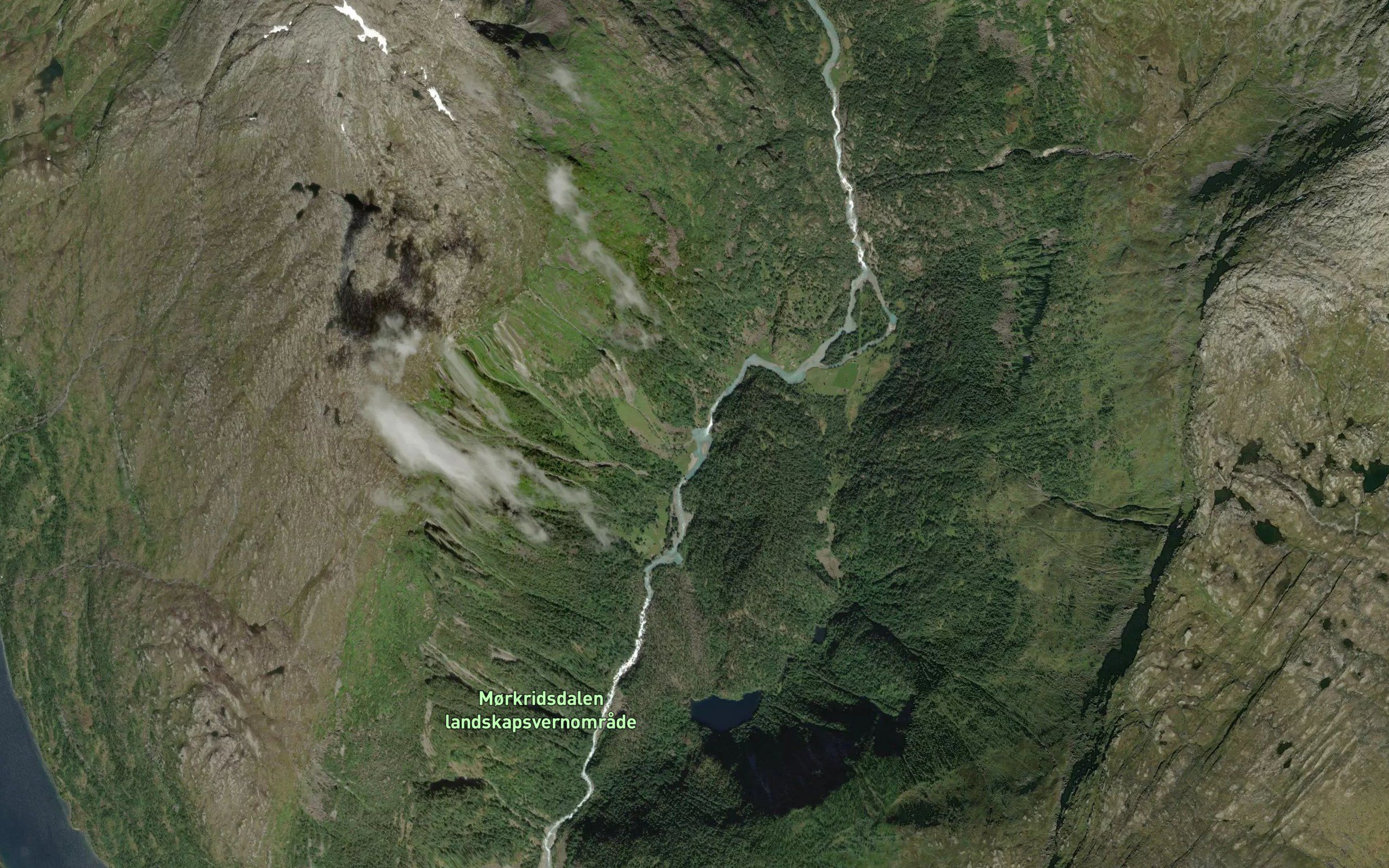 Bolifossen