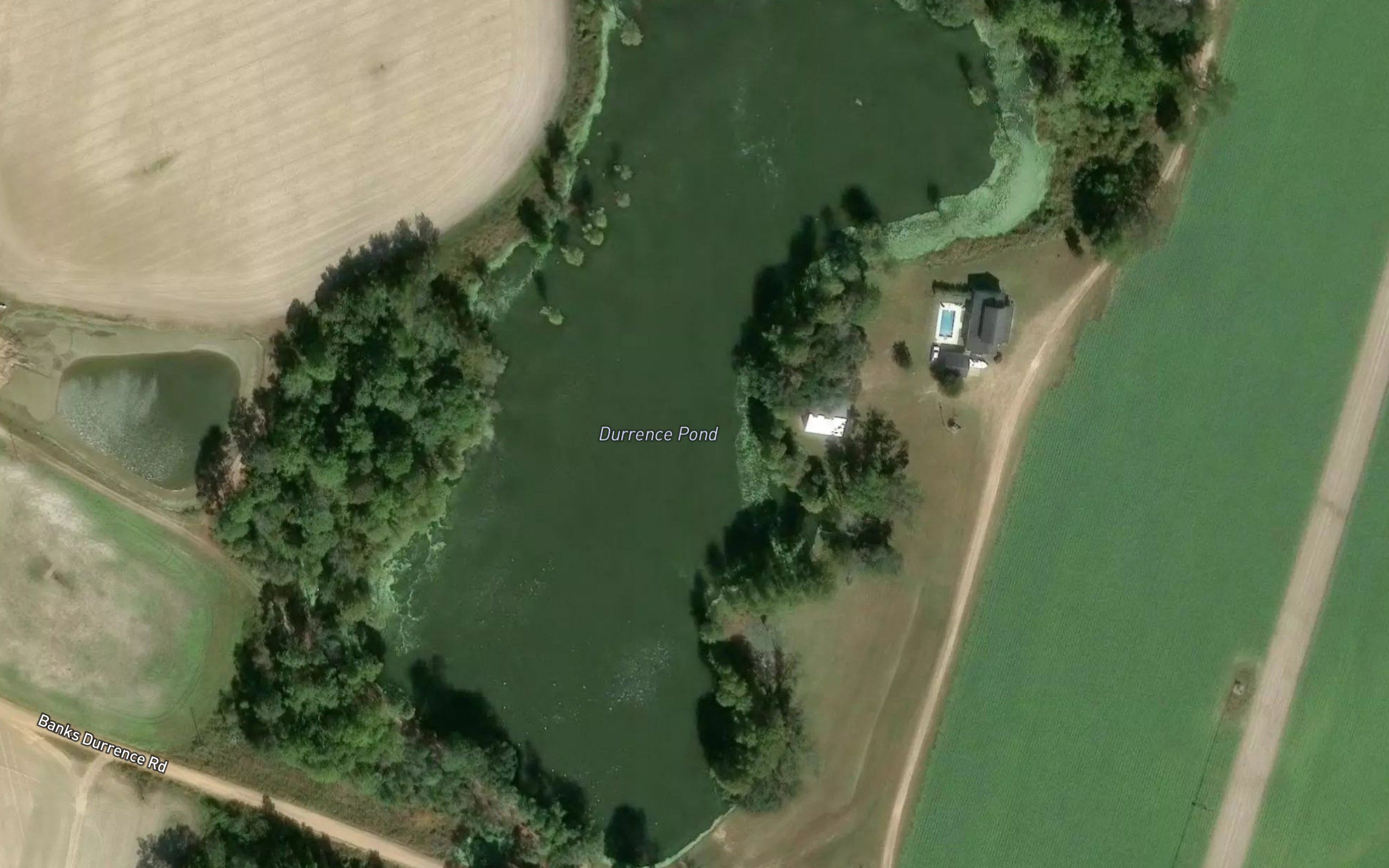 Durrence Pond