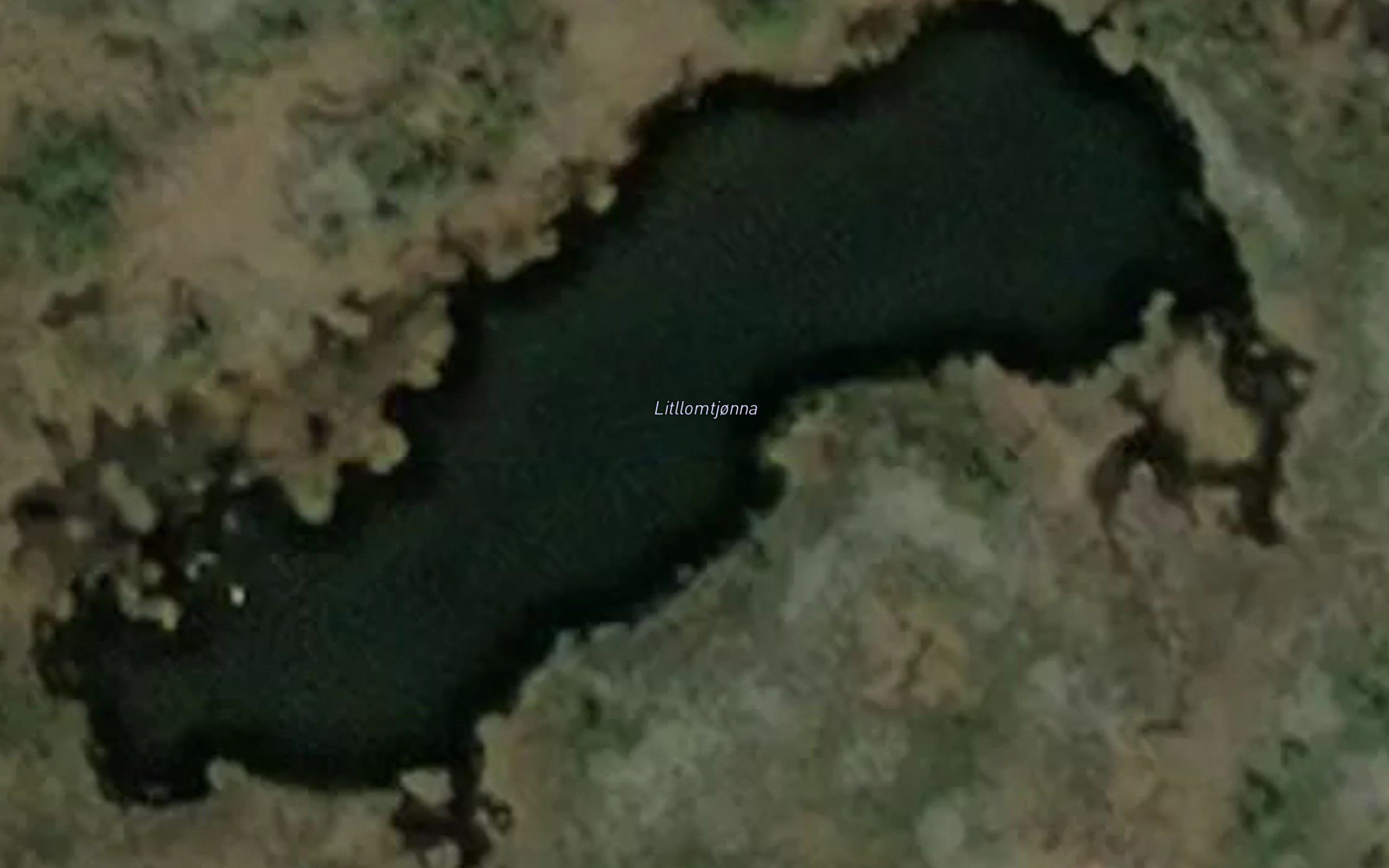 Lomtjorna,l