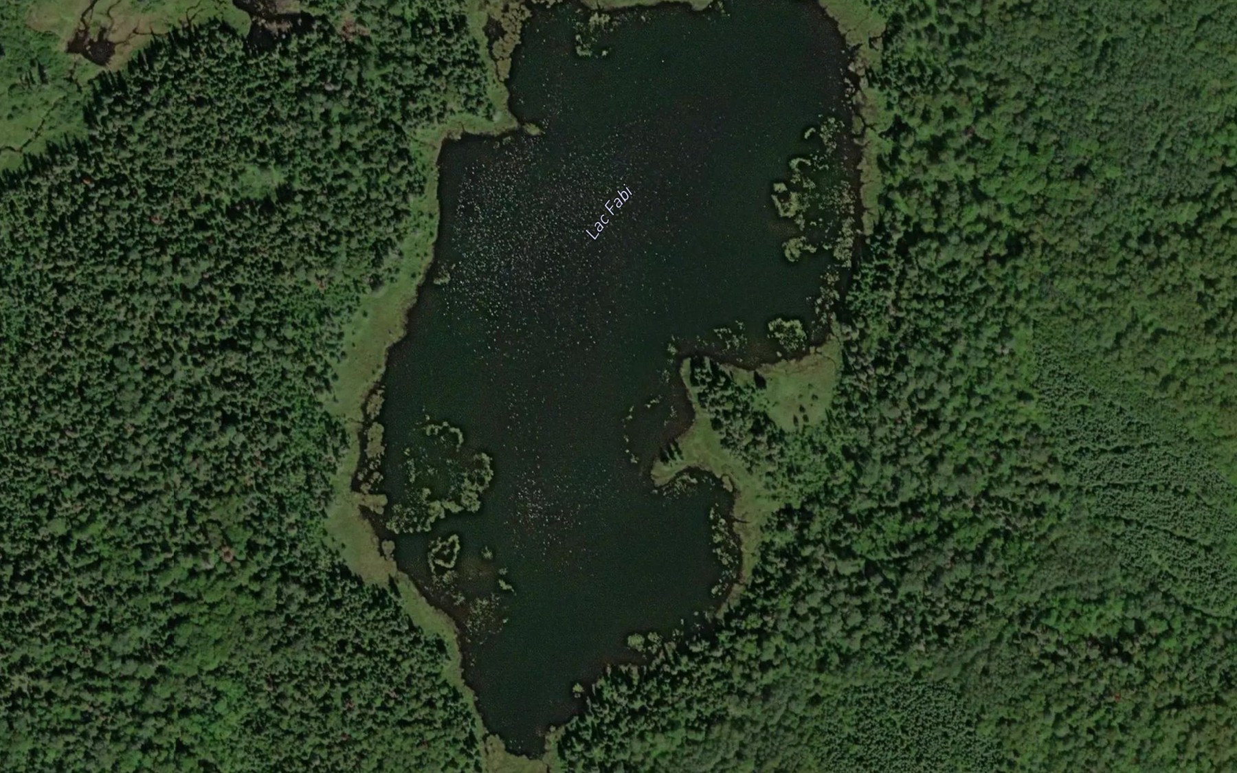Satellite map of the Lac Fabi