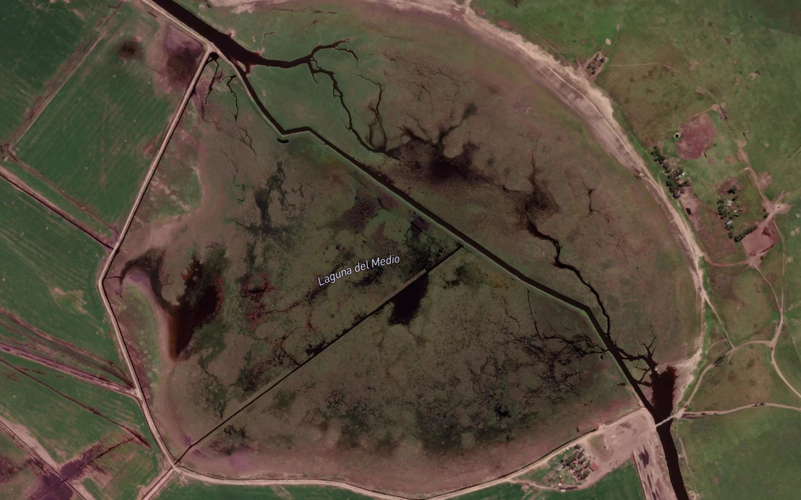 Laguna del Medio