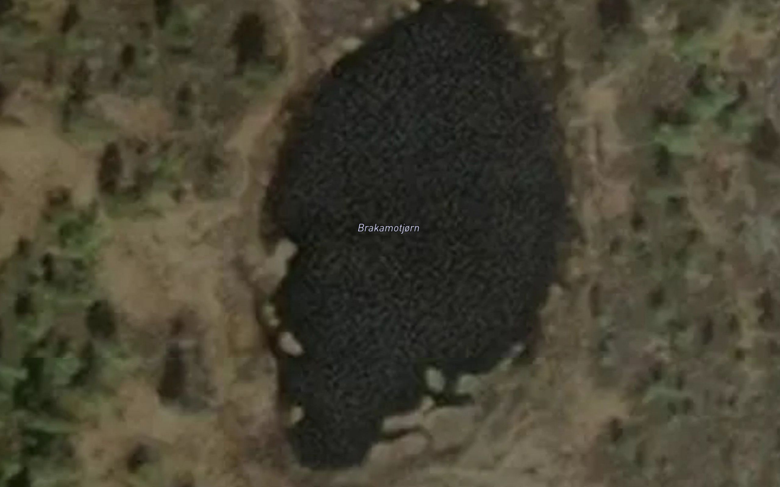 Brakamotjorn