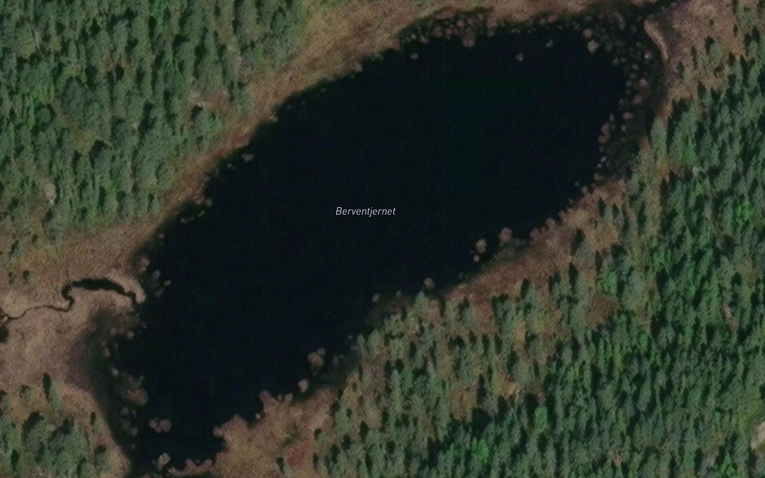 Berventjern
