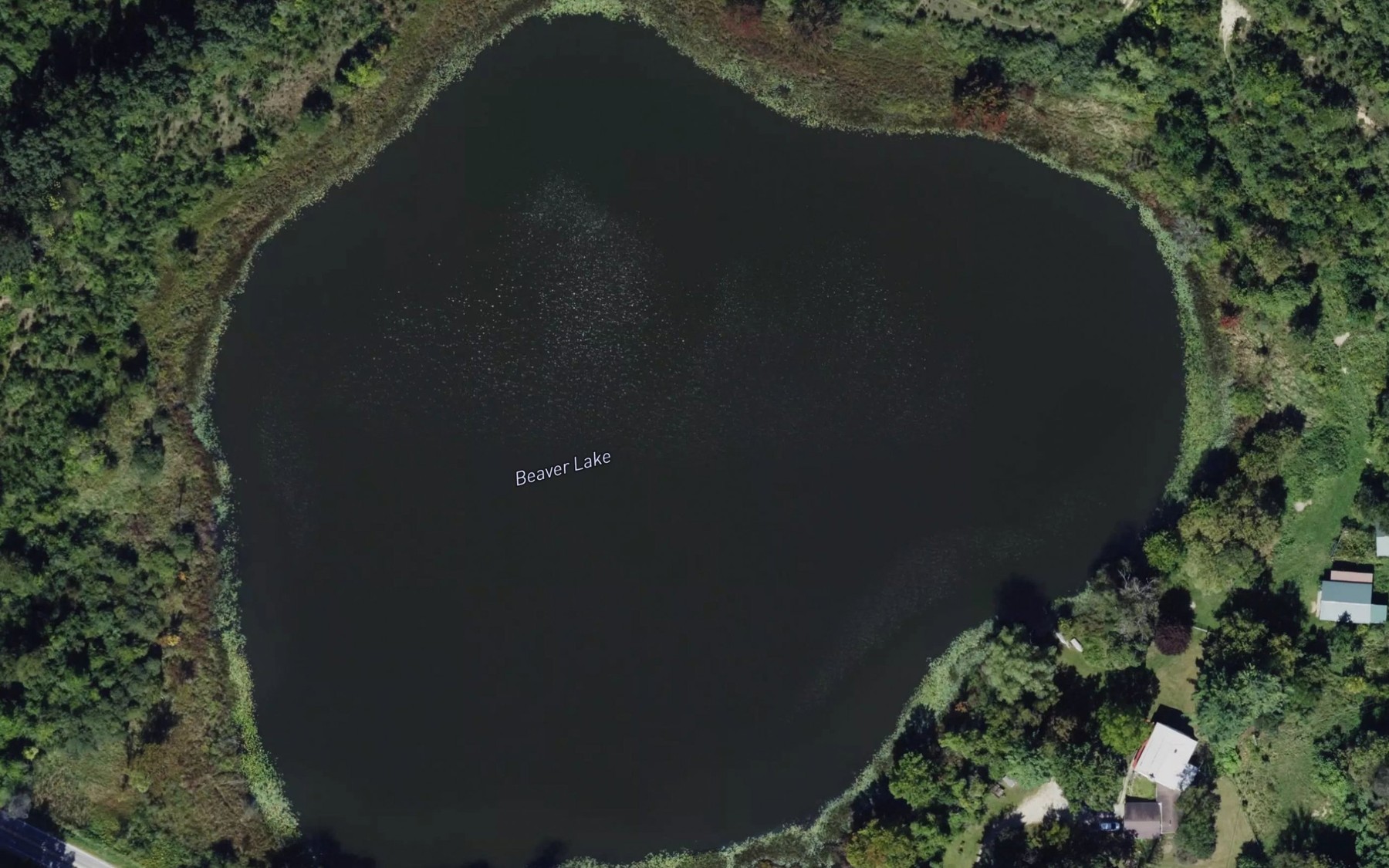 Satellite map of the Beaver Lake
