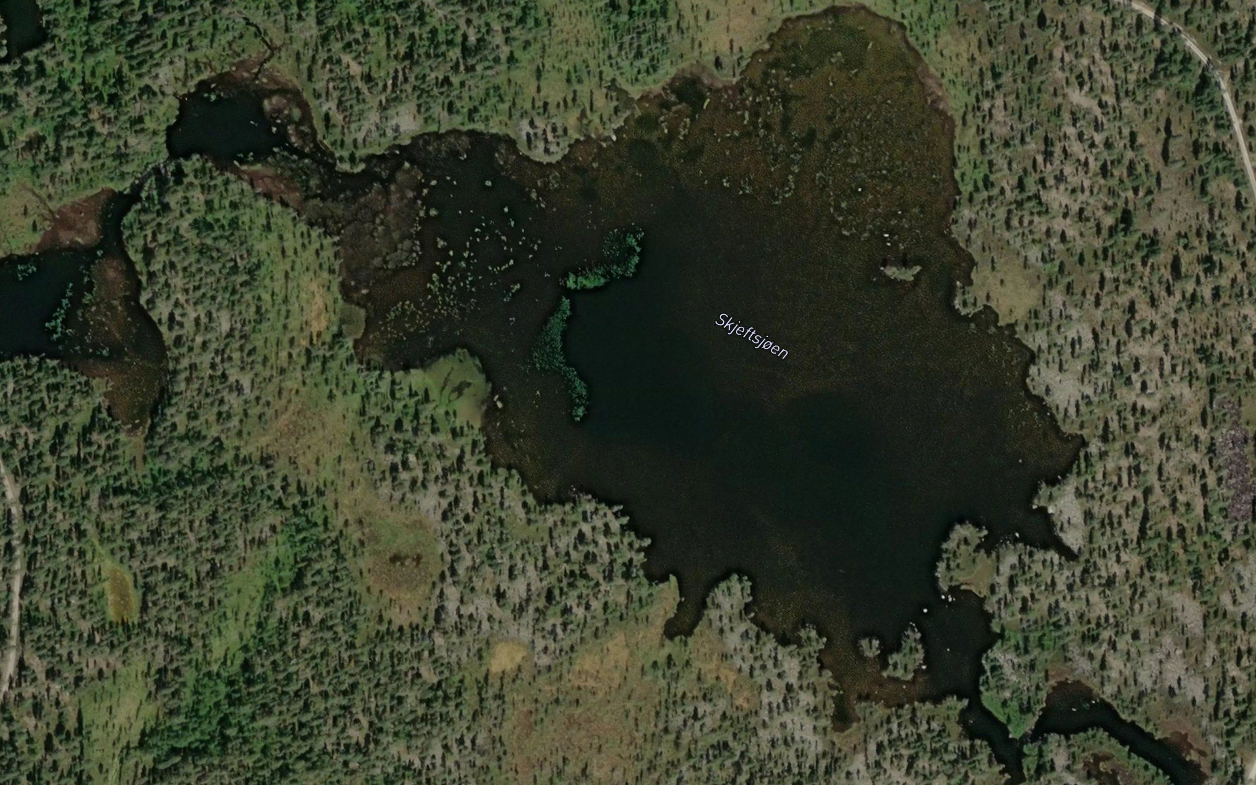Skjeftsjoen