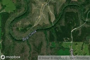 Wildcat Branch