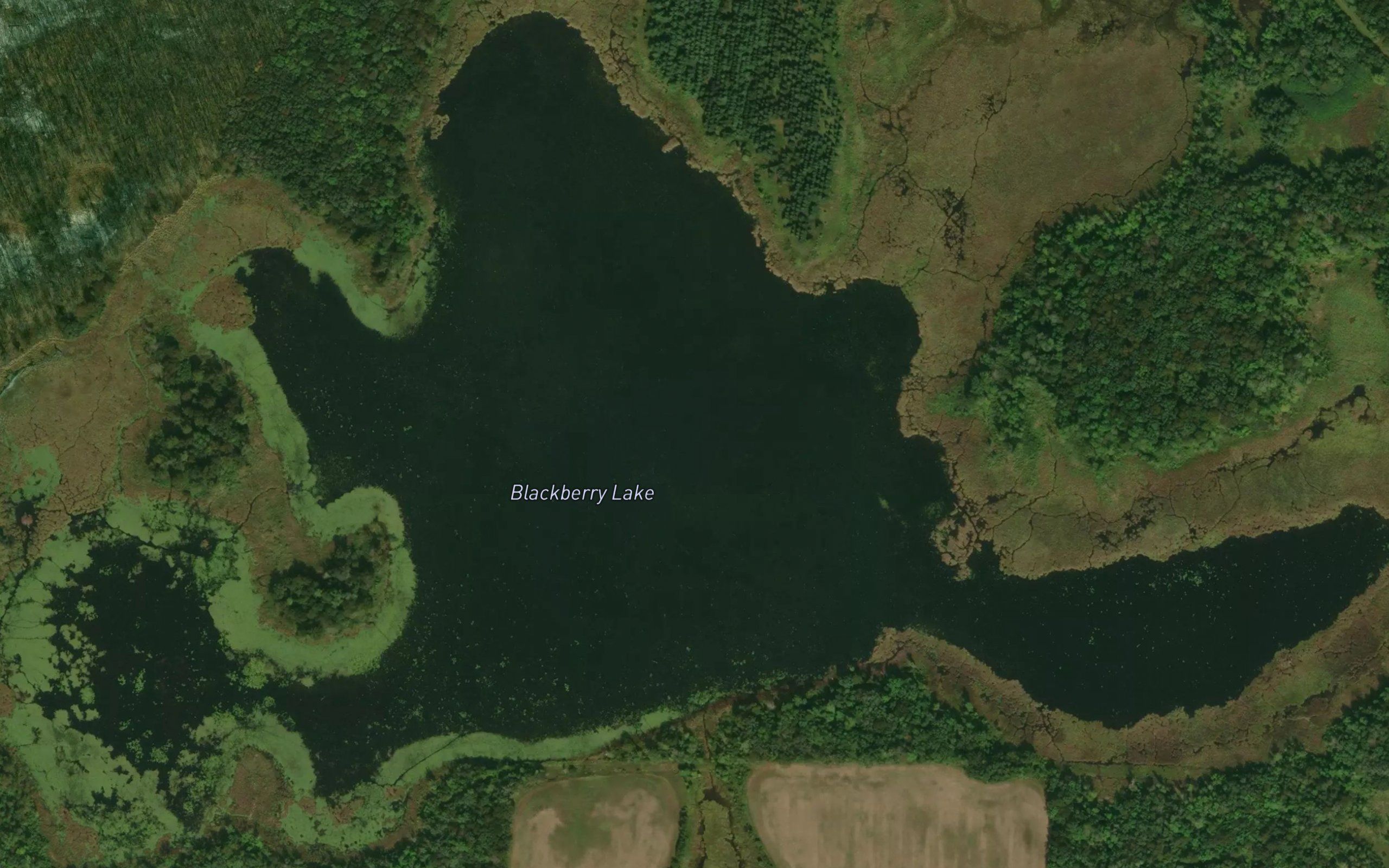 Blackberry Lake