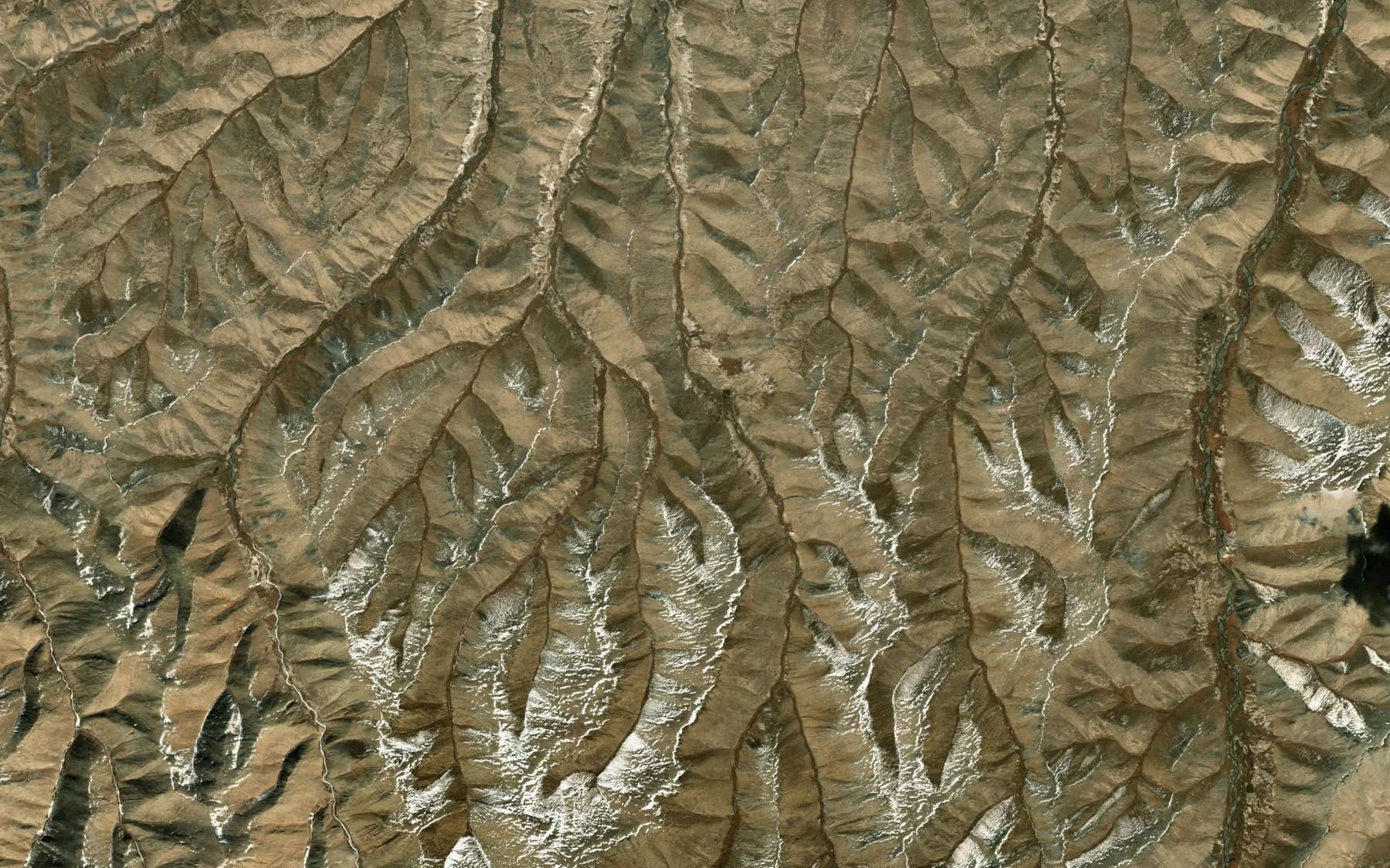 Satellite map of the Log Chetkaradzhilga