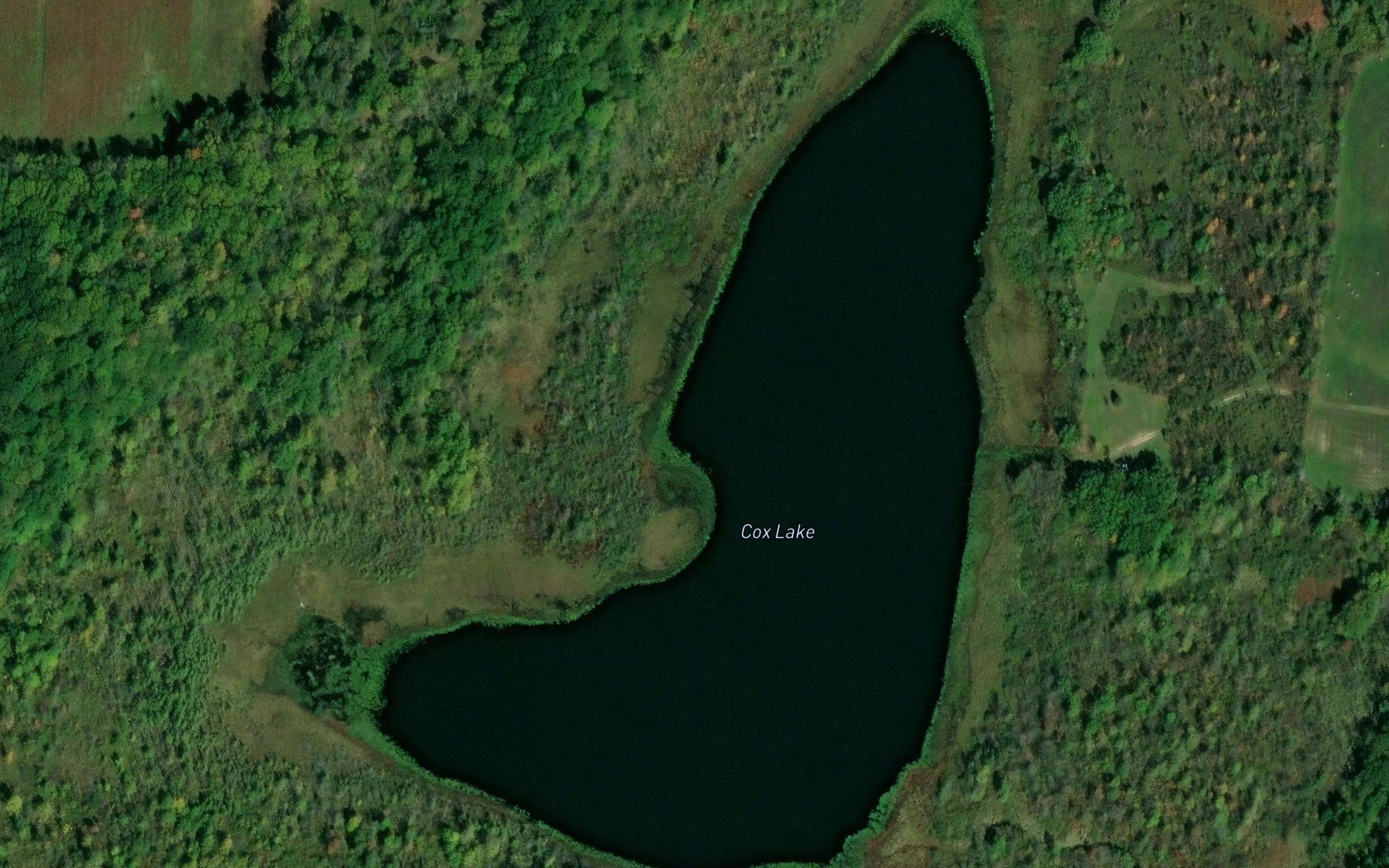 Cox Lake
