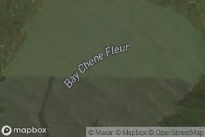 Bay Chene Fleur
