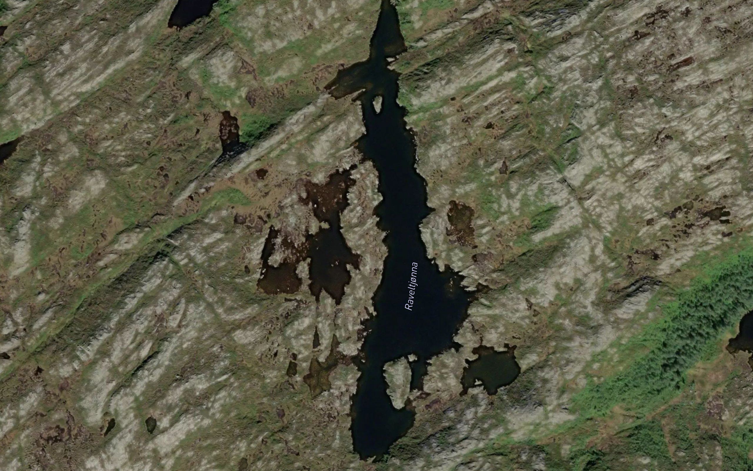 Raveltjorna