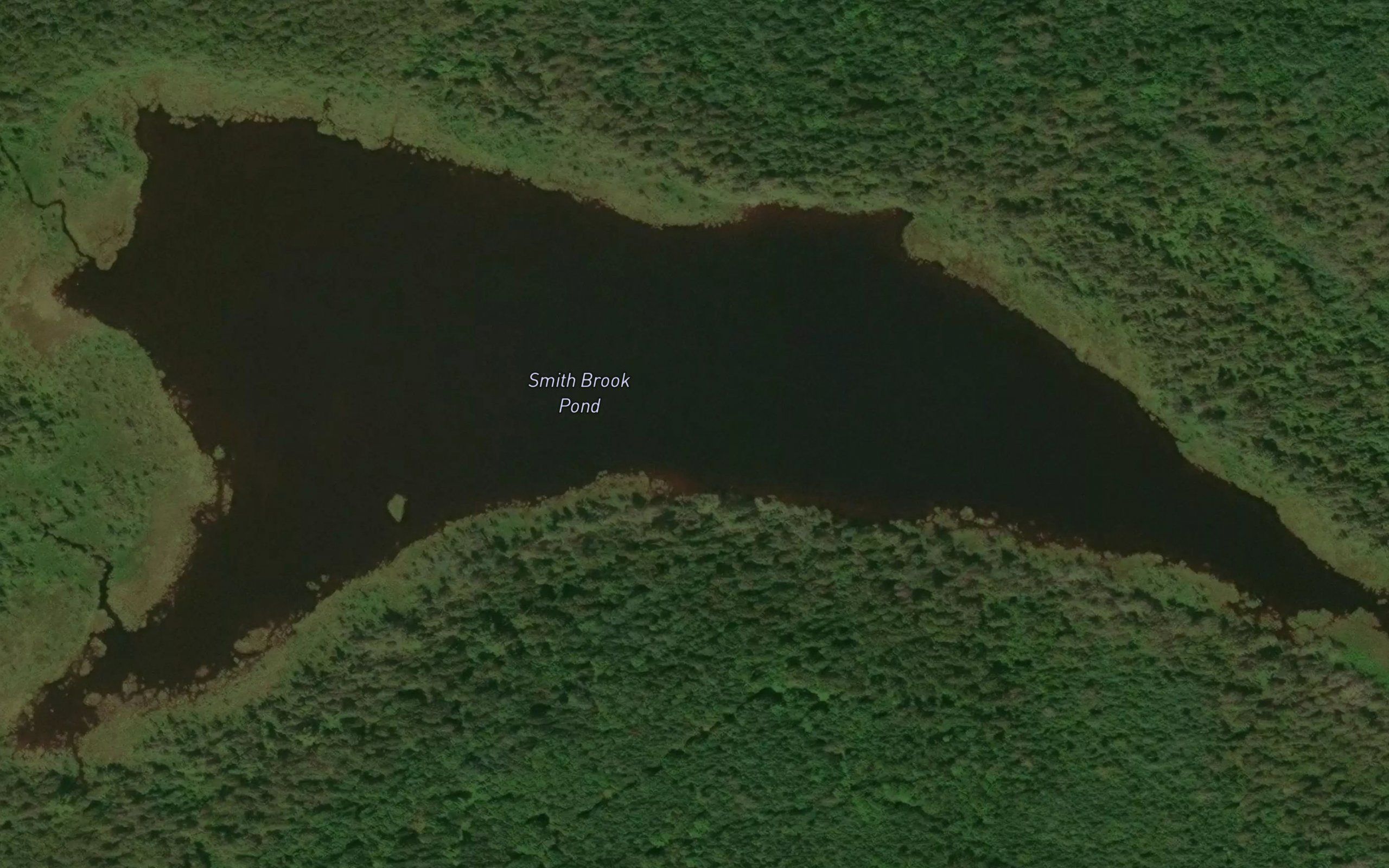 Smith Brook Pond
