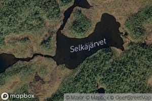 Selkajarvet