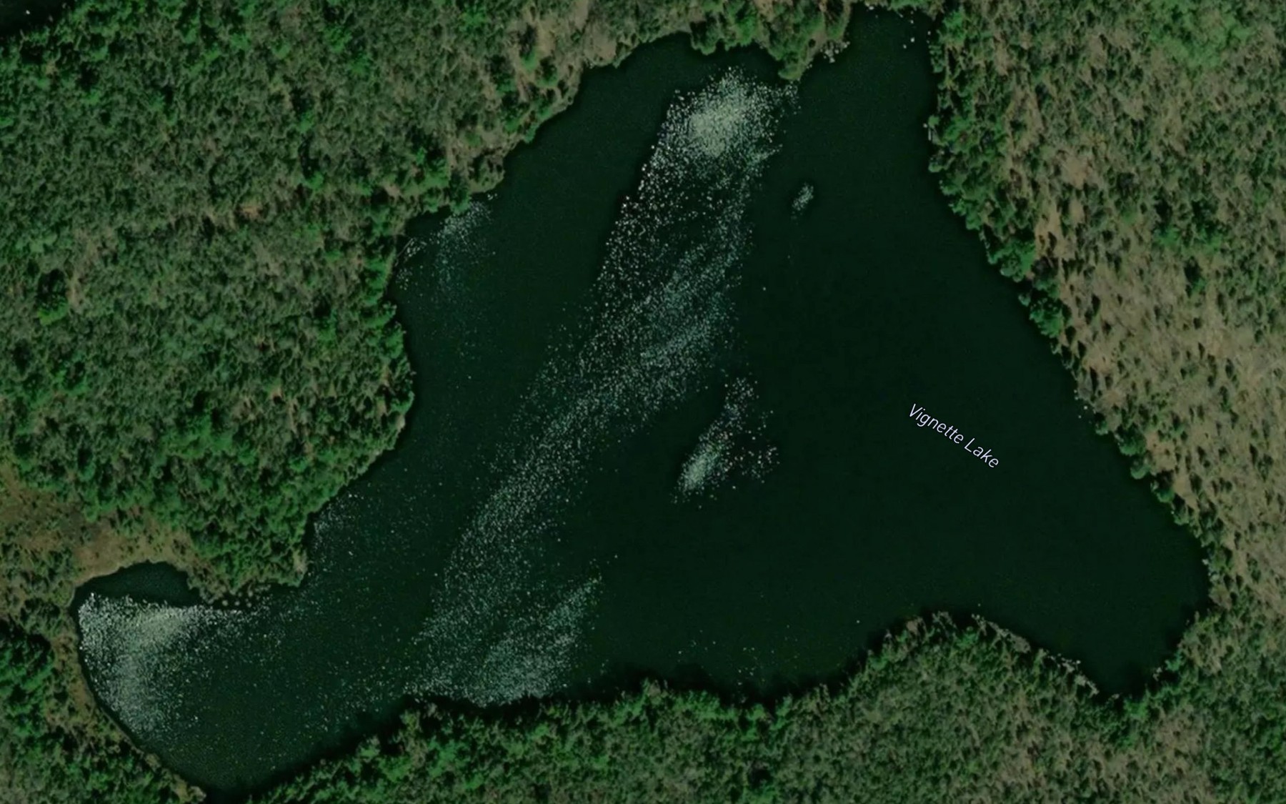 Satellite map of the Vignette Lake