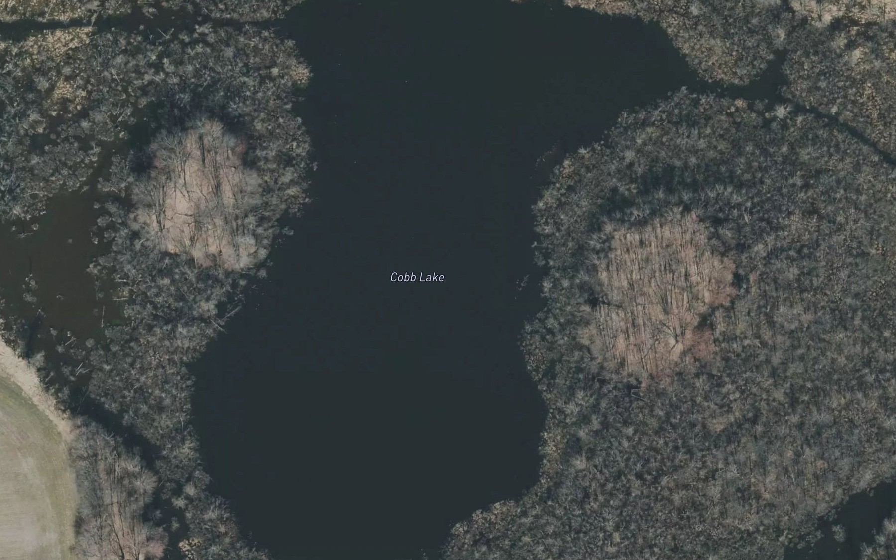 Satellite map of the Cobb Lake