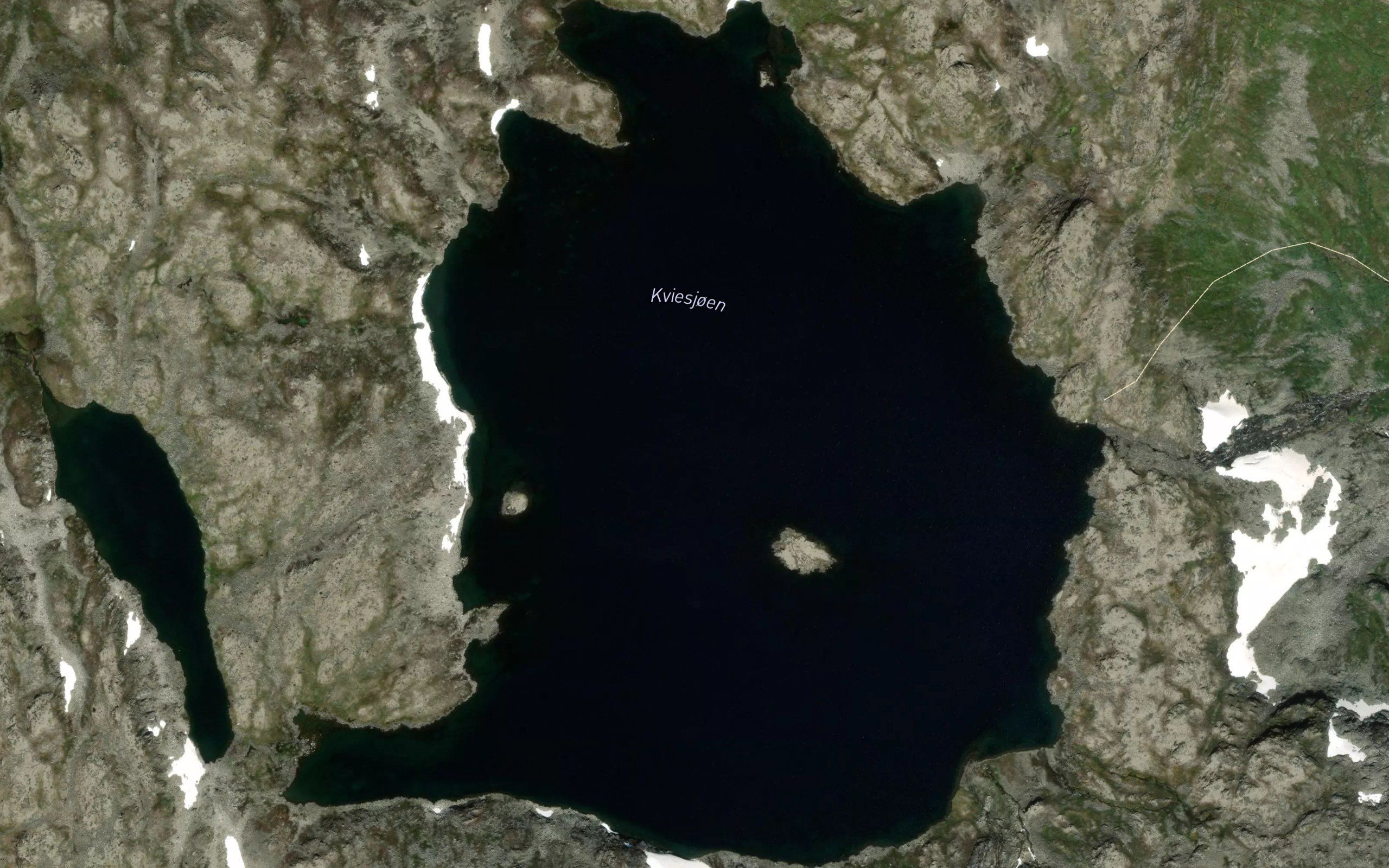 Kviesjoen