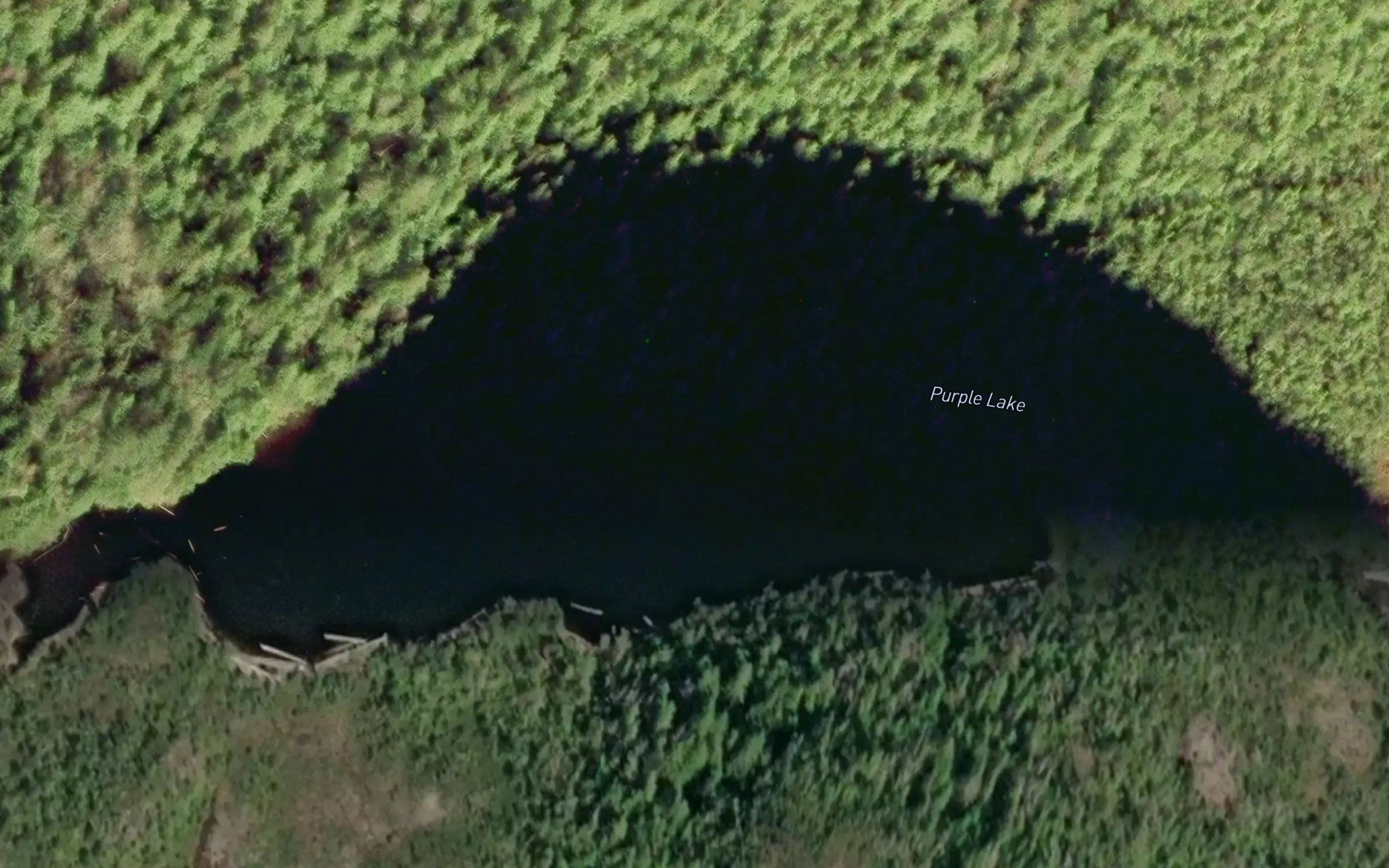 Purple Lake