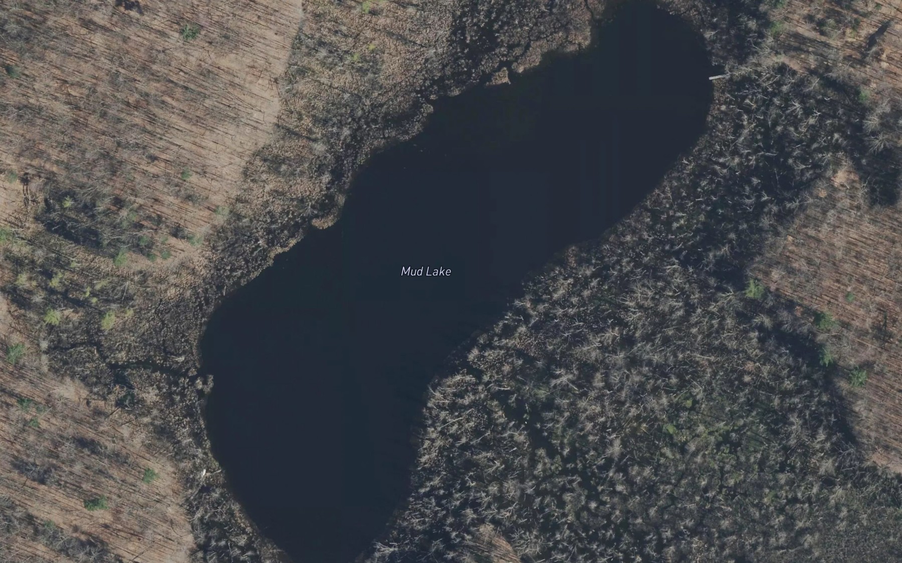 Satellite map of the Mud Lake