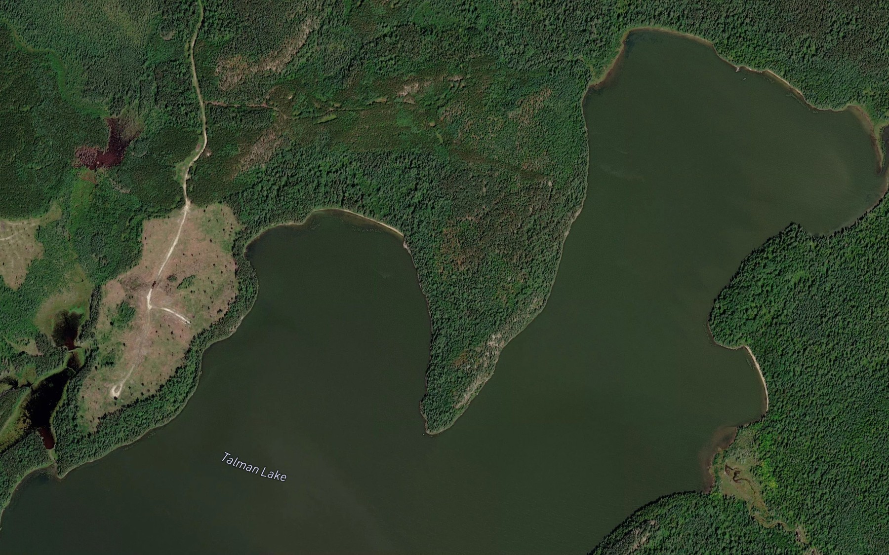 Satellite map of the Talman Lake