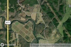 Mineral Springs Branch