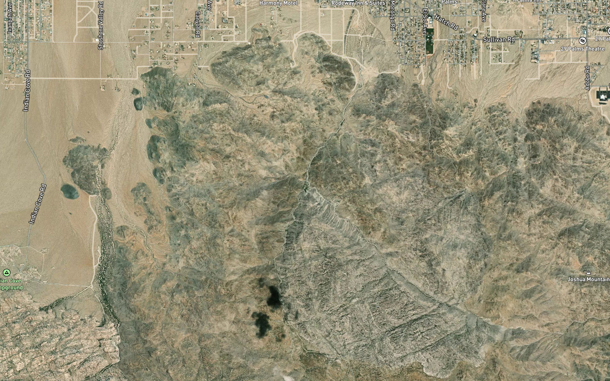 Fortynine Palms Oasis