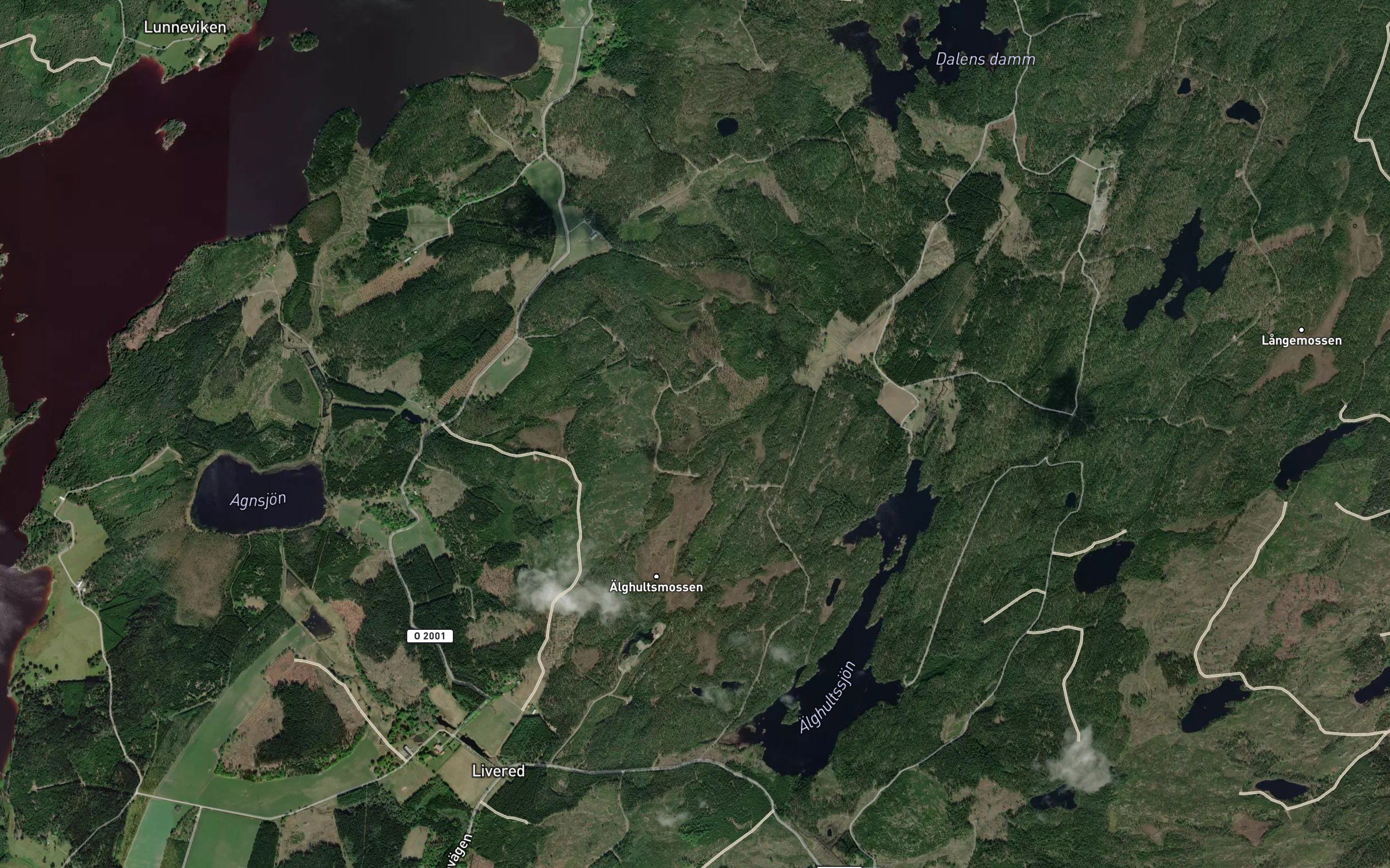 Alghultssjon