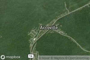 Right Fork Buffalo Creek