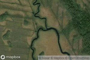 Koyvu