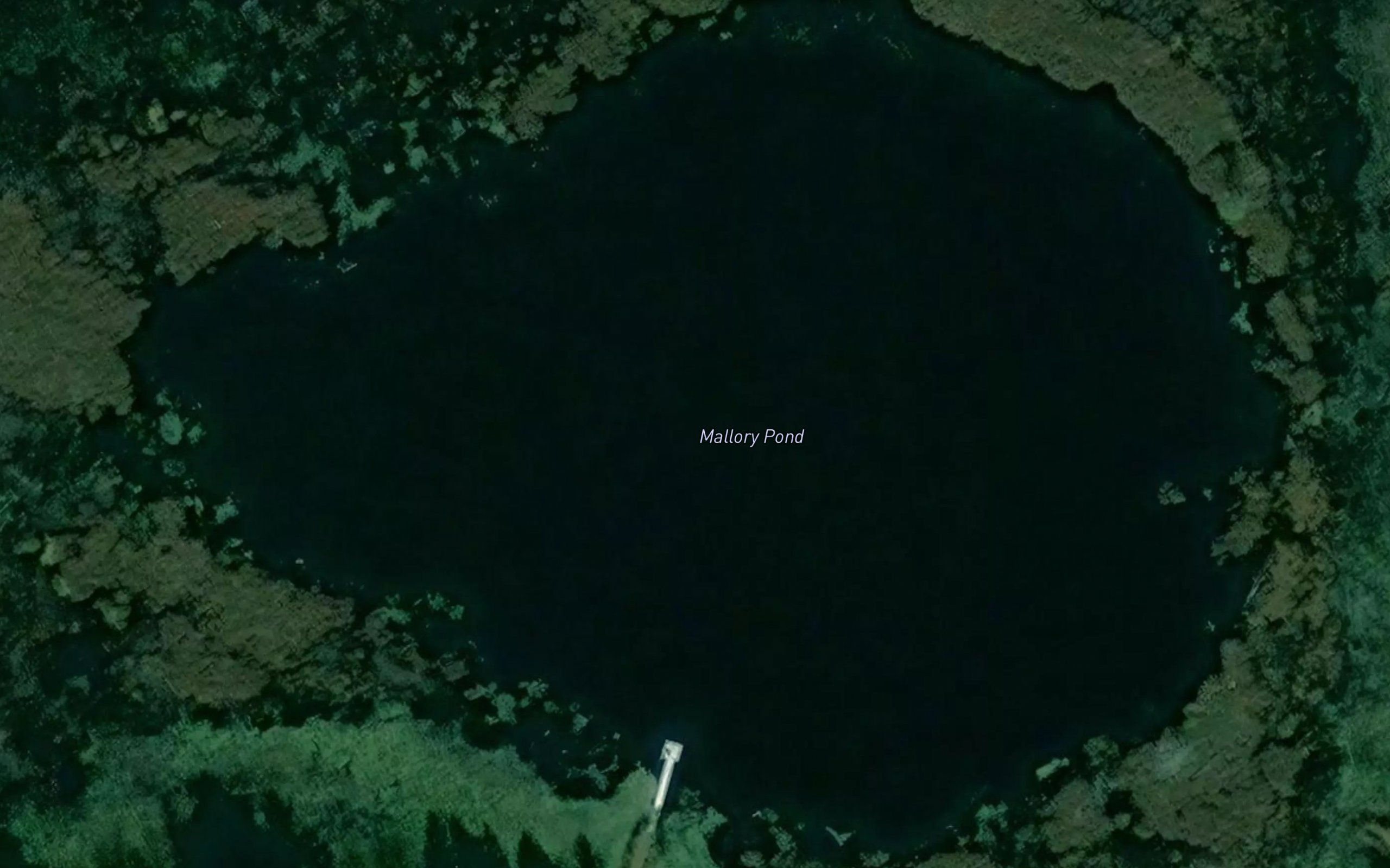 Mallory Pond