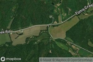 South Fork Toms Creek