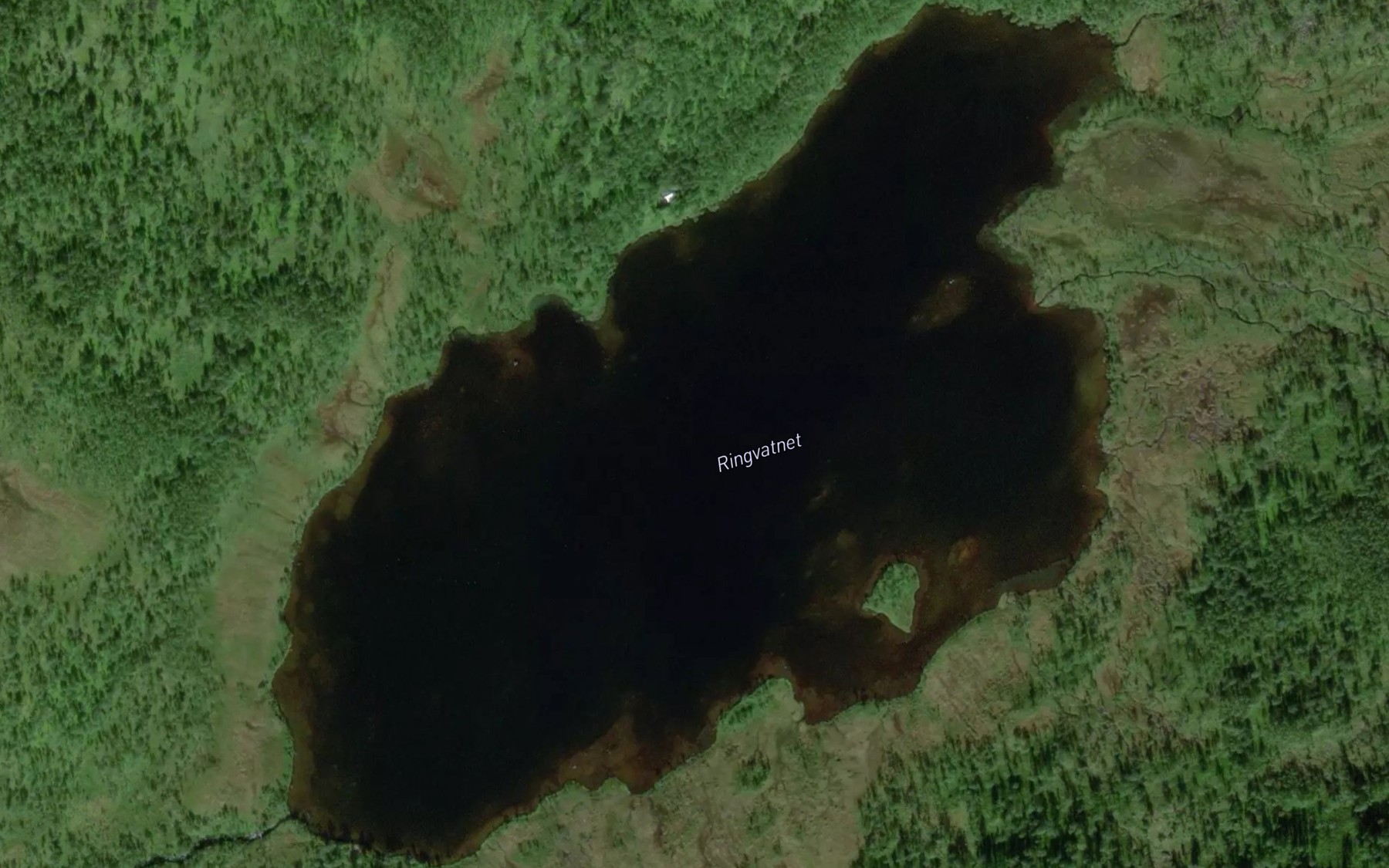 Satellite map of the Ringvatnet