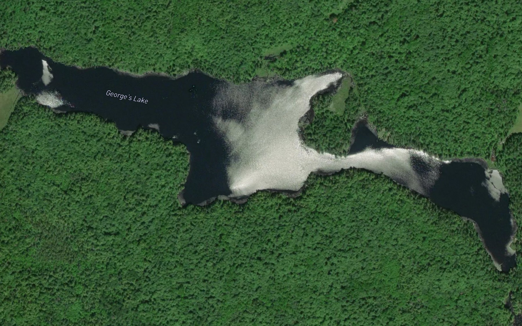 Satellite map of the George's Lake
