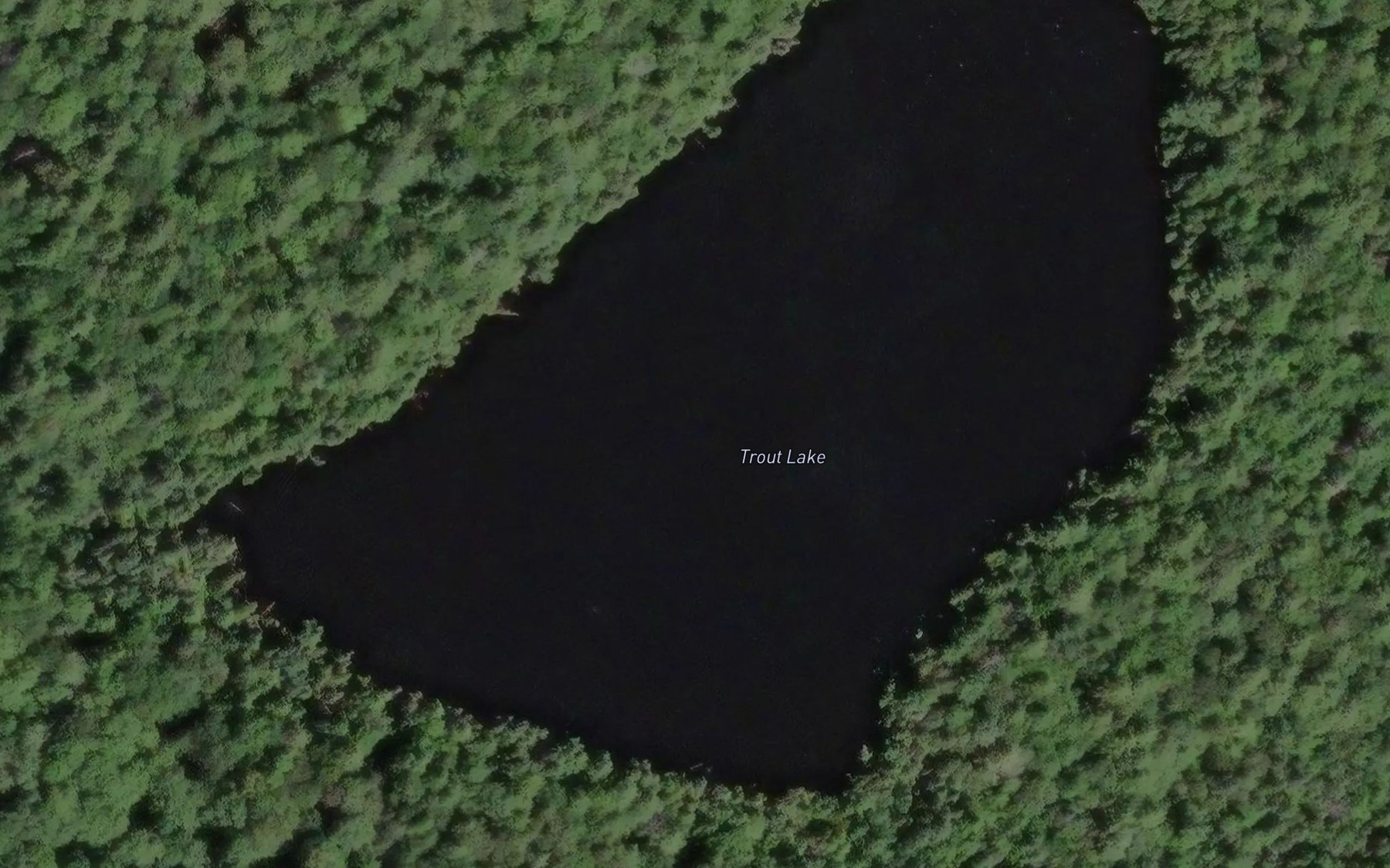 Satellite map of the Trout Lake