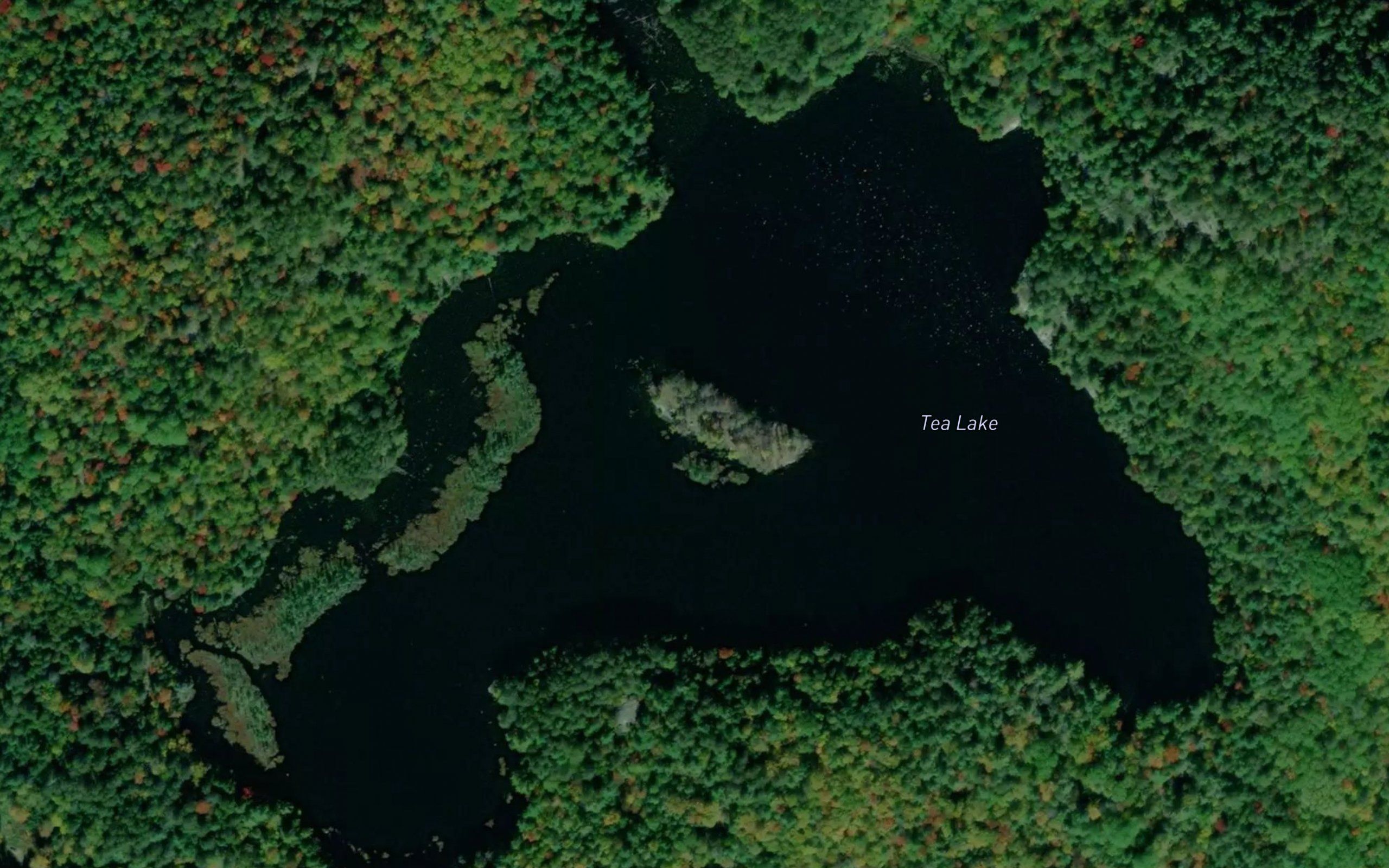 Tea Lake