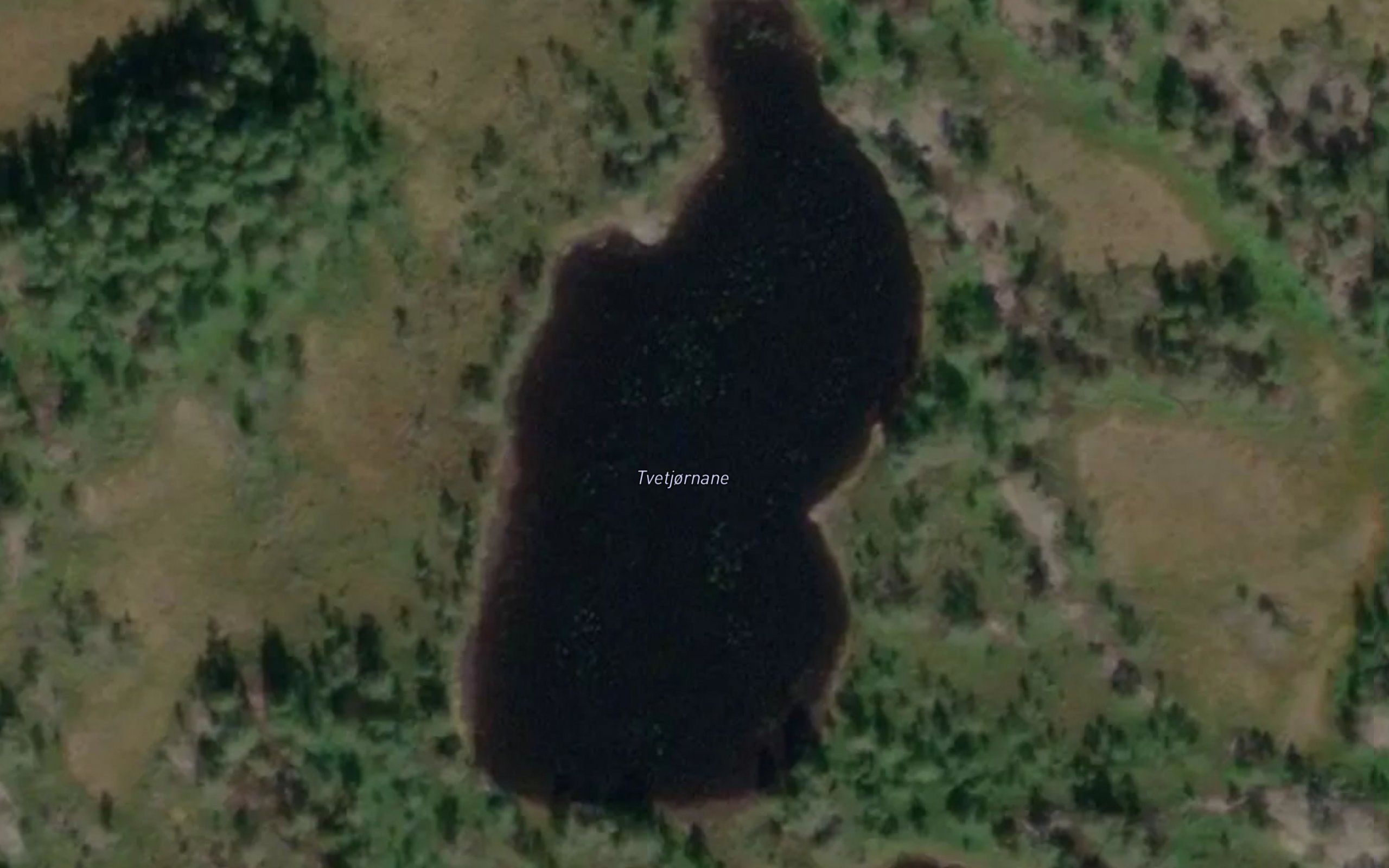 Tvetjornane