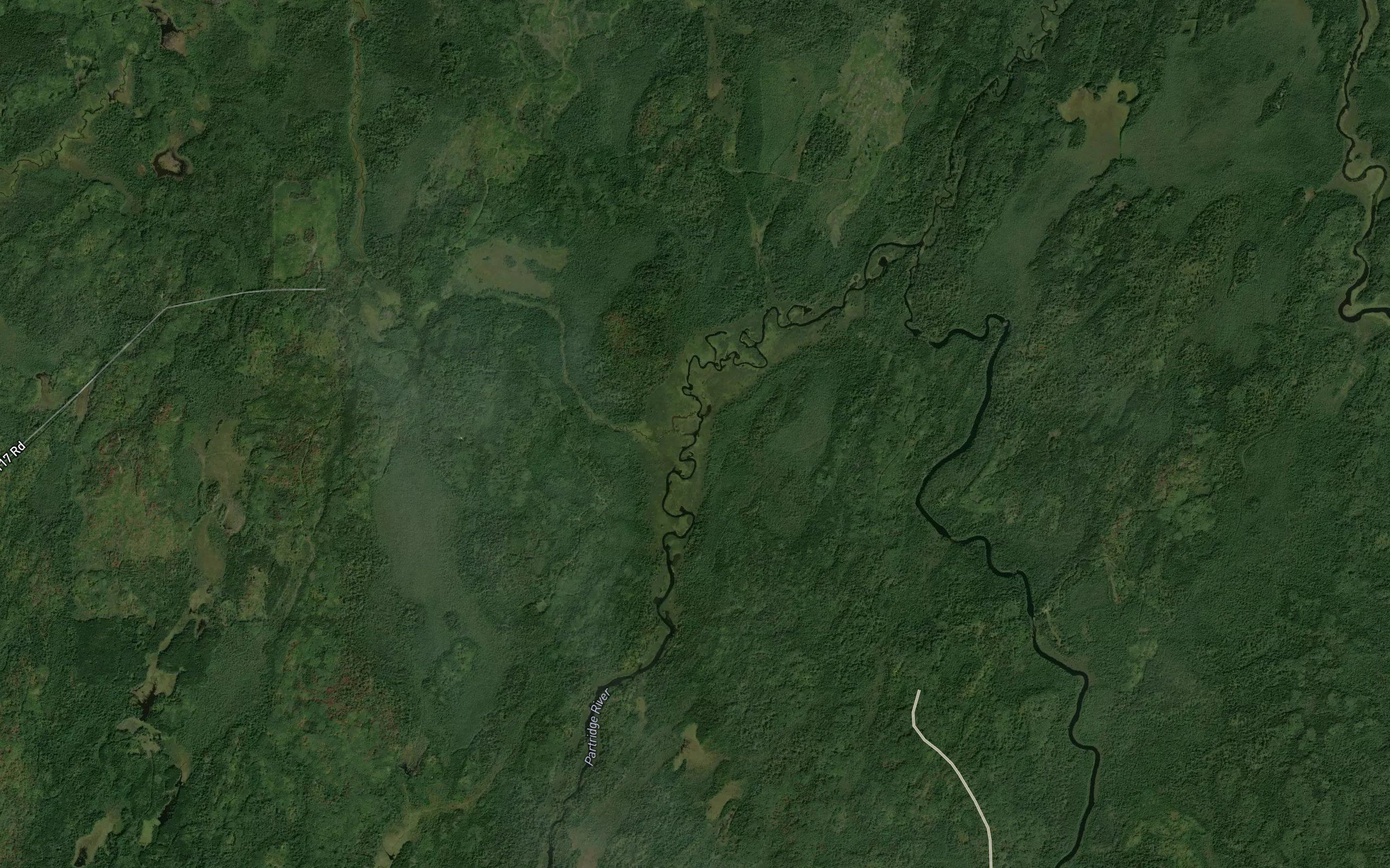 Longnose Creek
