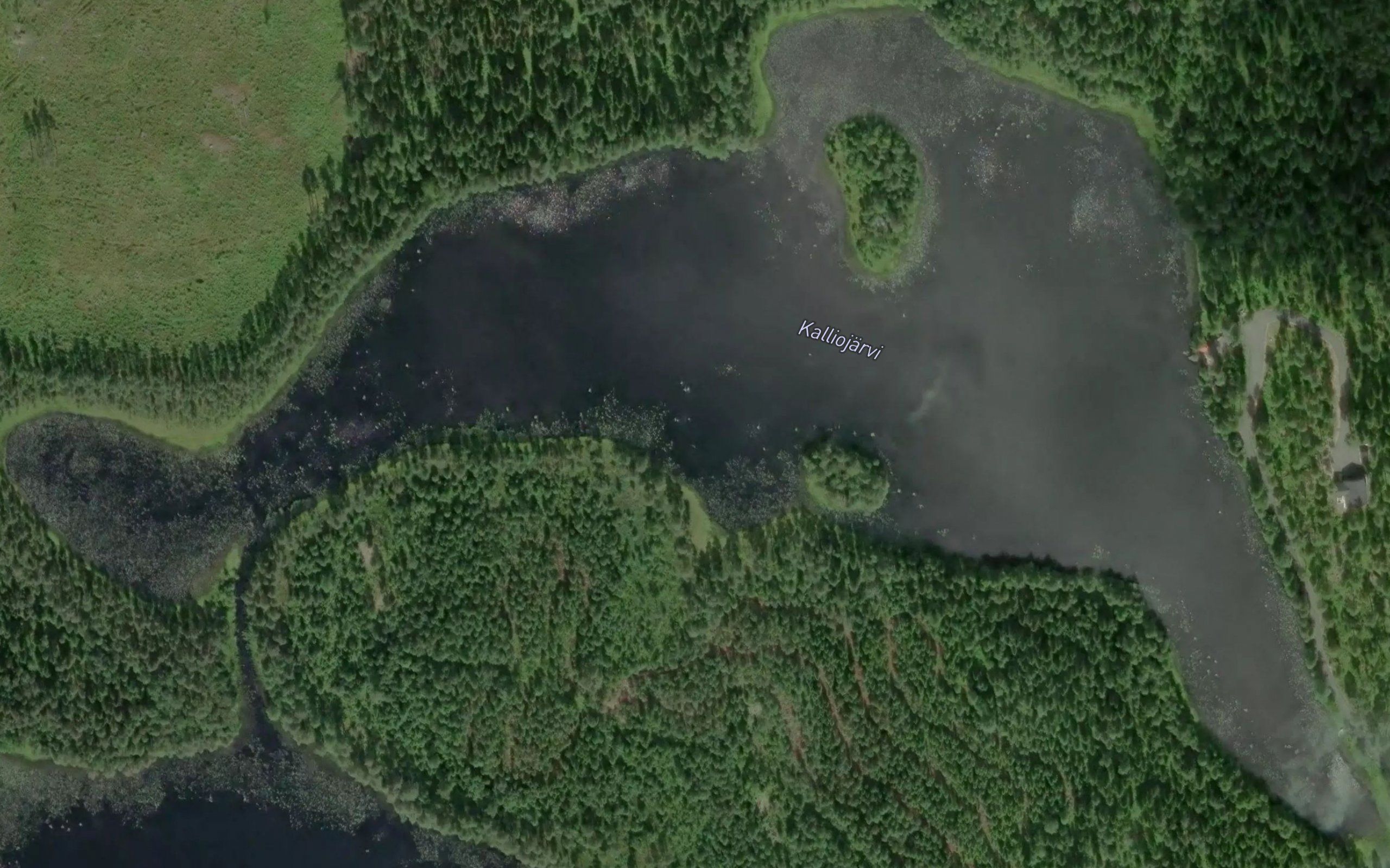 Kalliojarvi